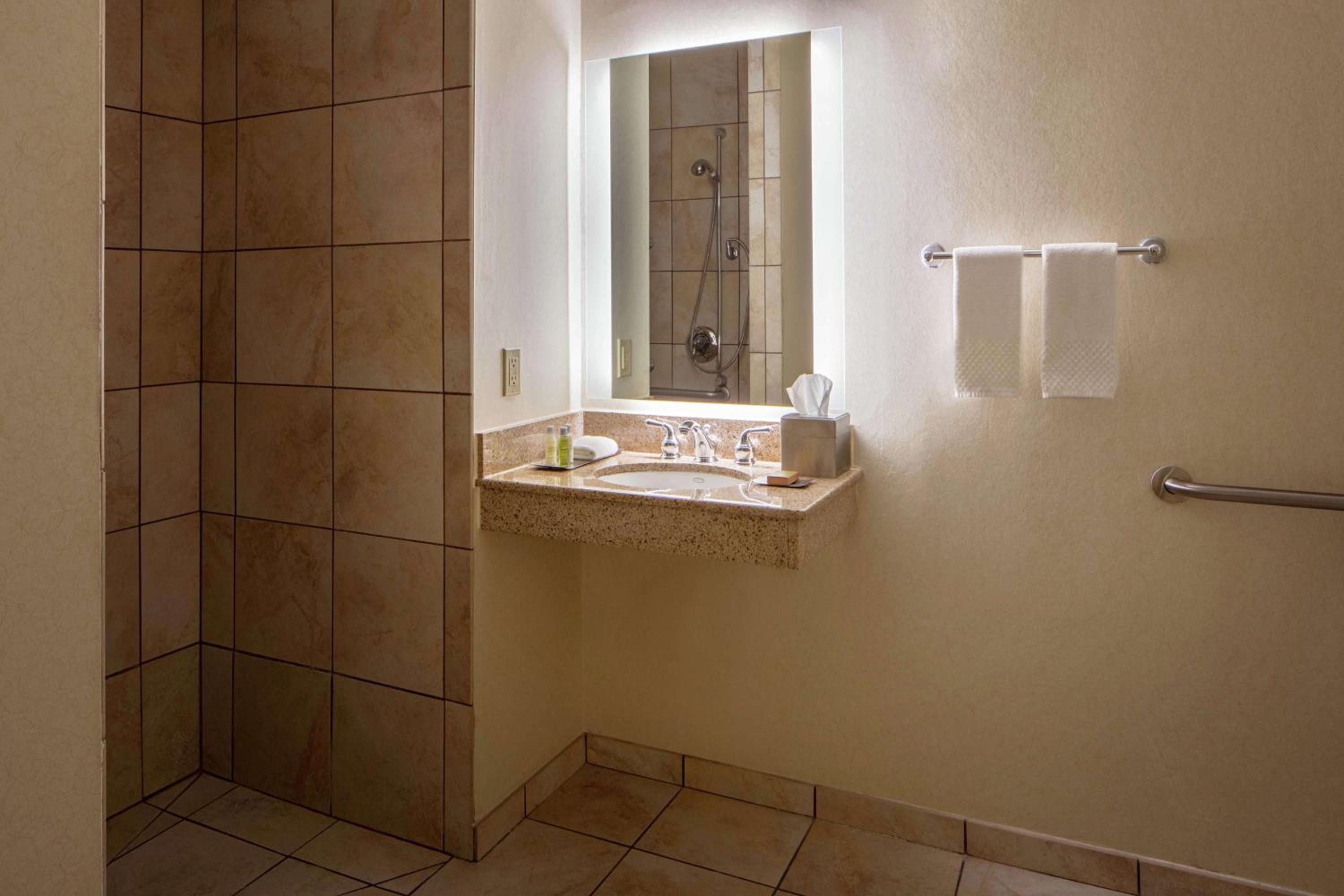 King Suite - Disability Access with Accessible Tub - Photo 3