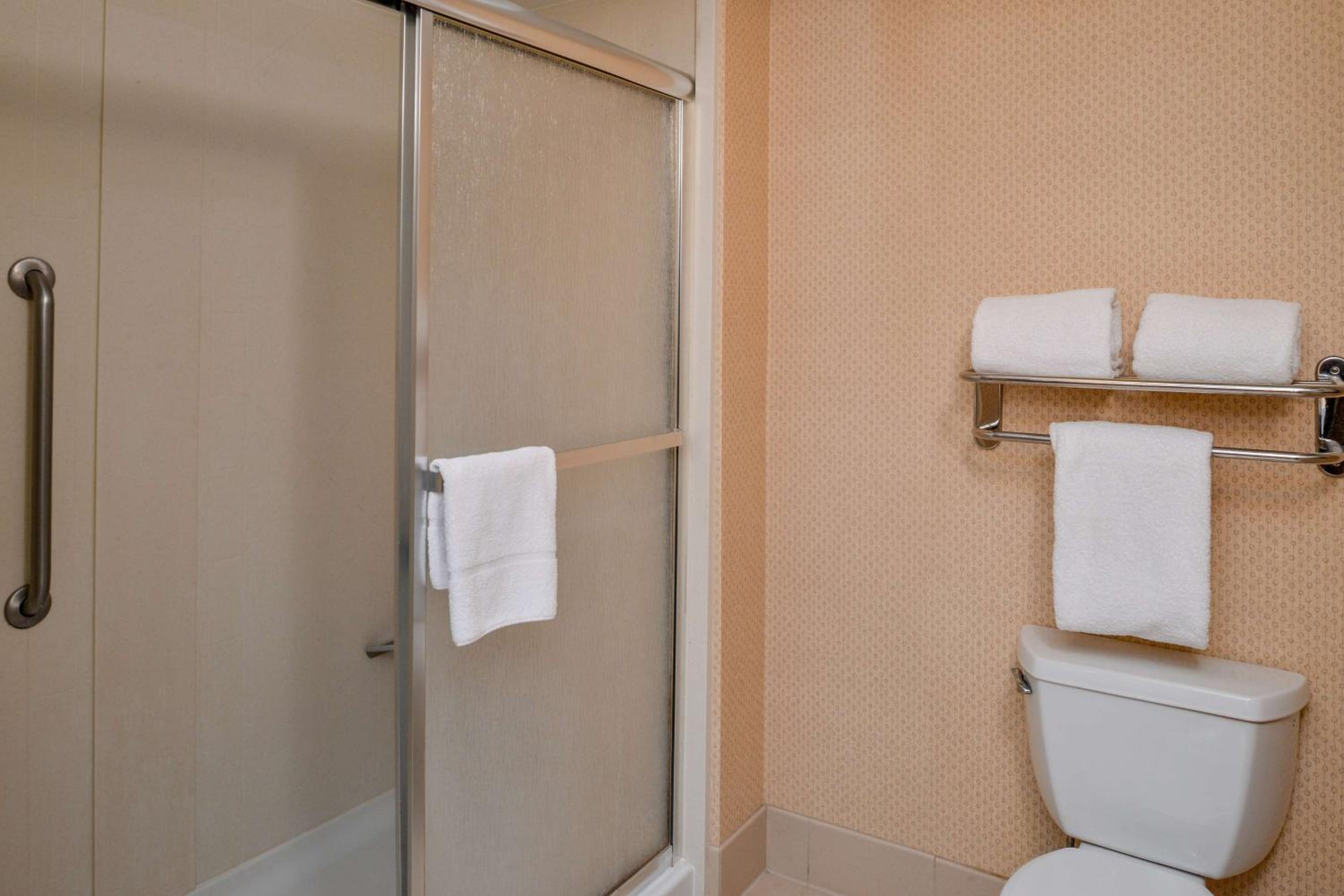 King Studio Suite - Non-Smoking - Photo 4