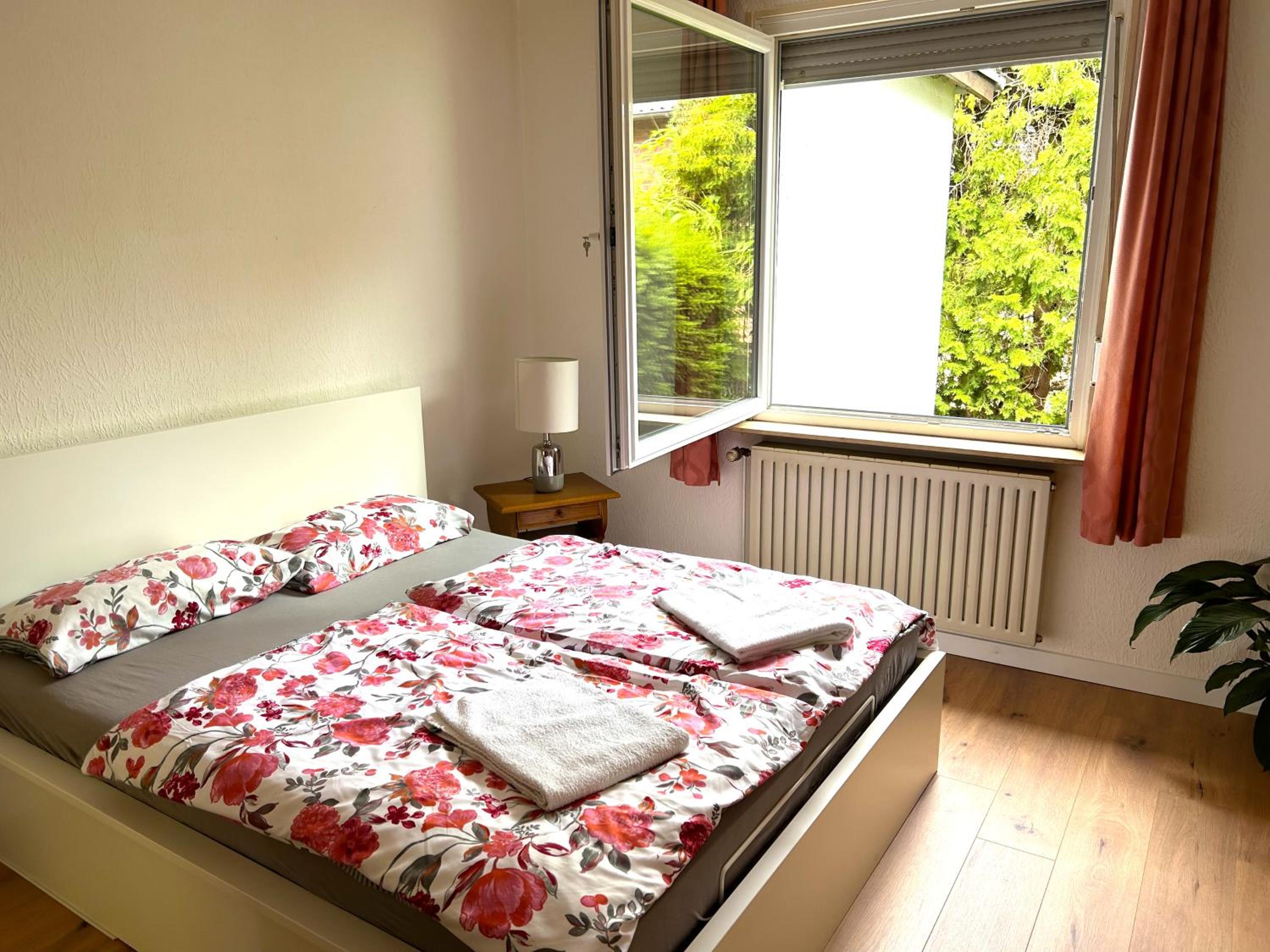 One-Bedroom House photo 3