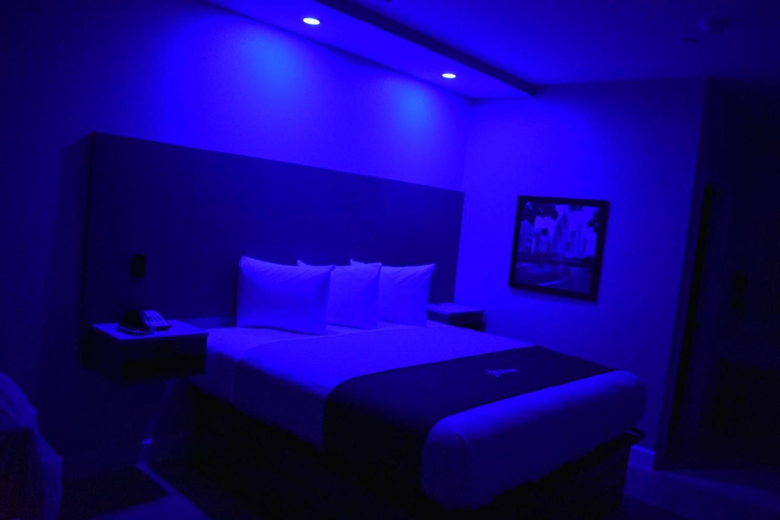 King Suite - Photo 4