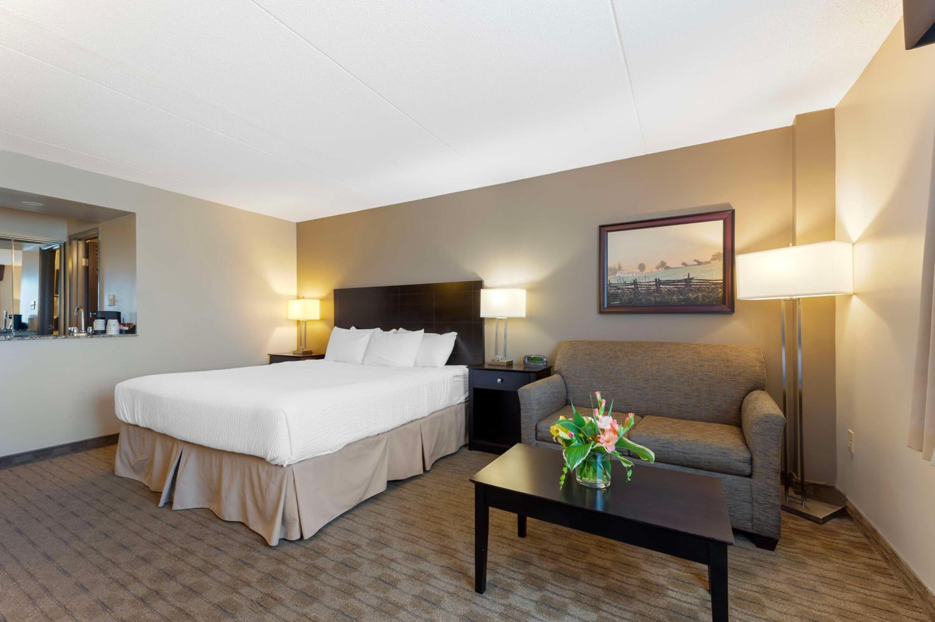 Queen Room with Sofa Bed - Disability Access/Non-Smoking - Photo 1