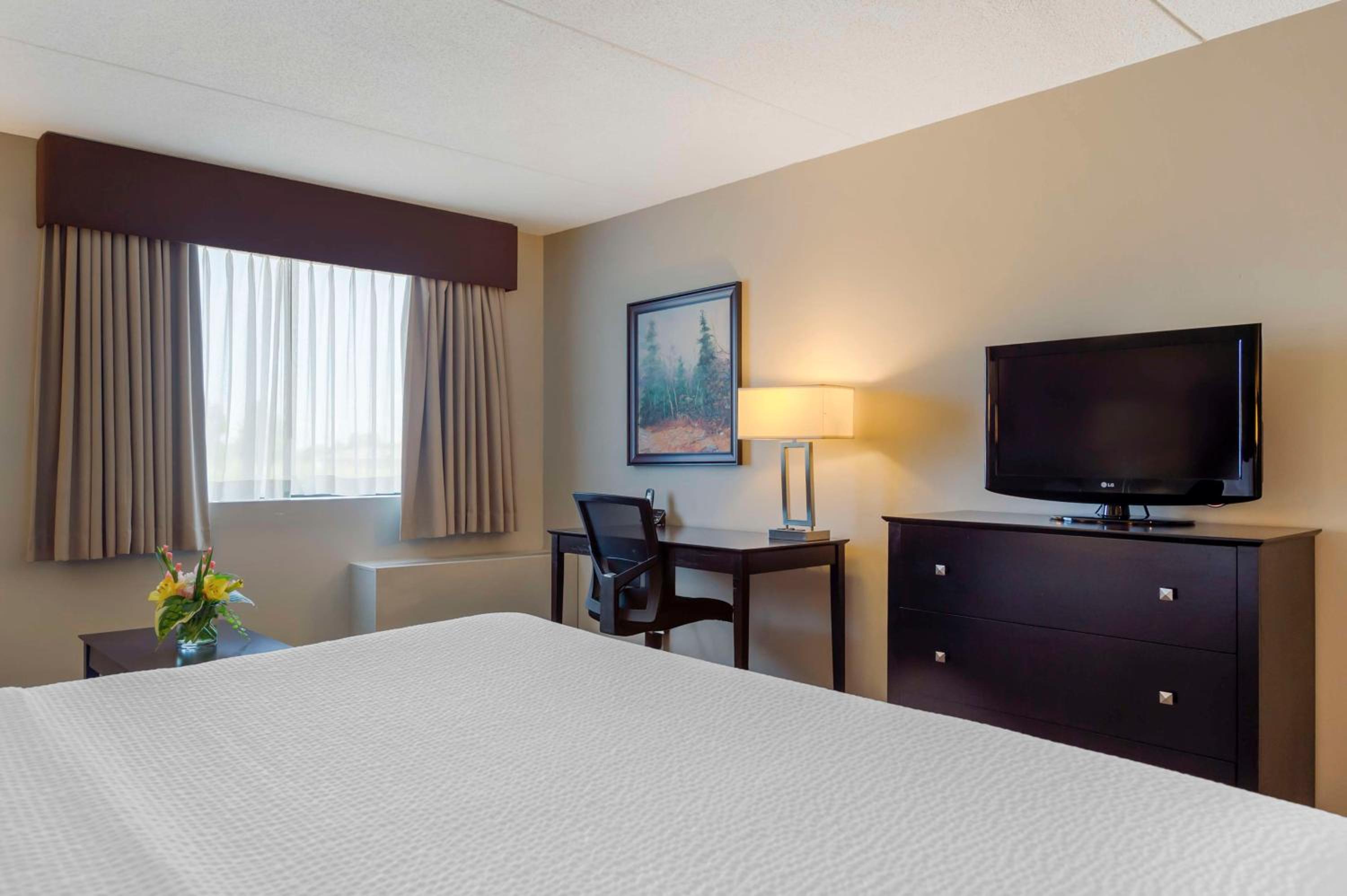 Queen Room with Sofa Bed - Disability Access/Non-Smoking - Photo 4
