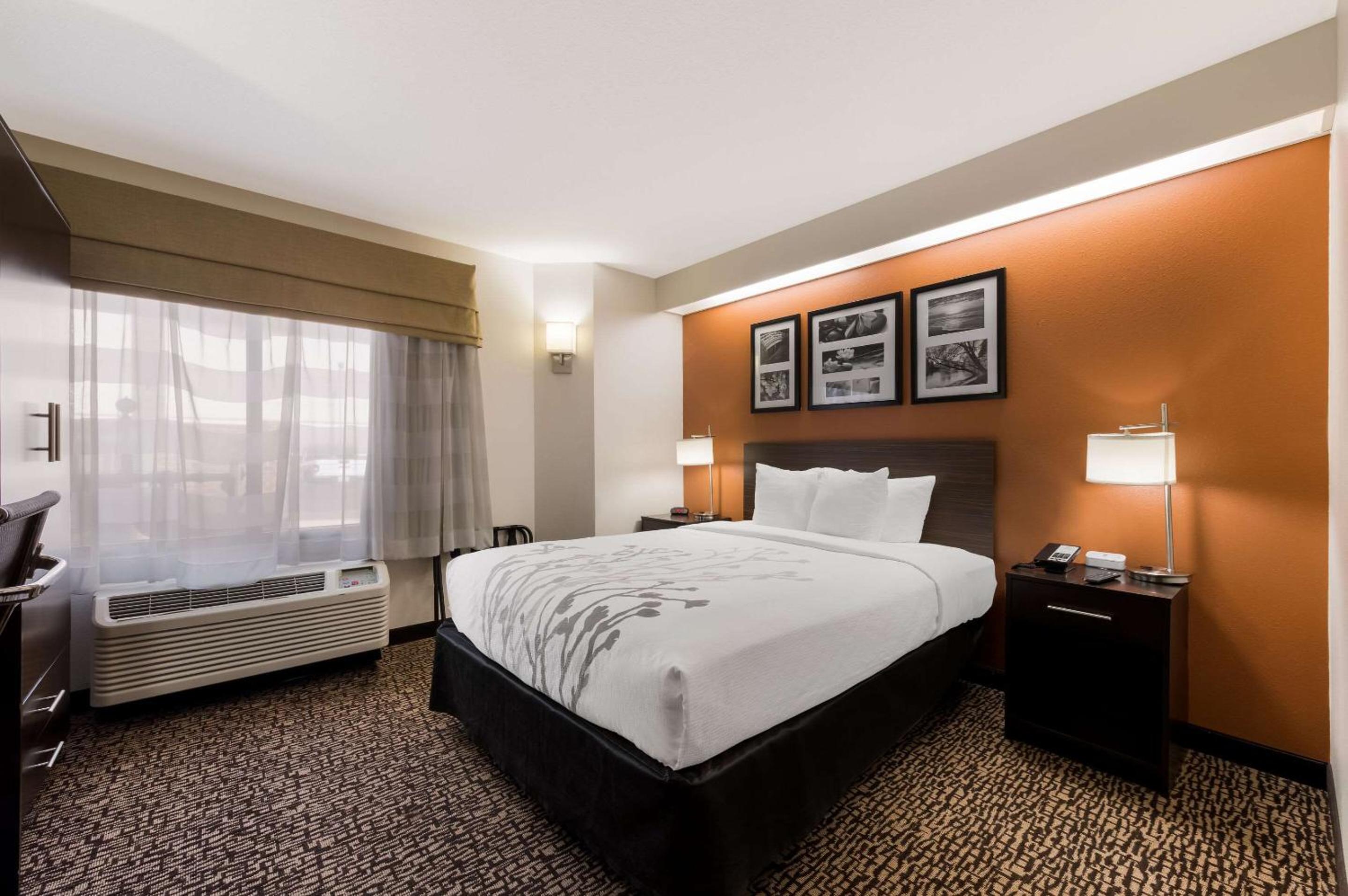 Queen Room - Disability Access/Non-Smoking - Photo 1