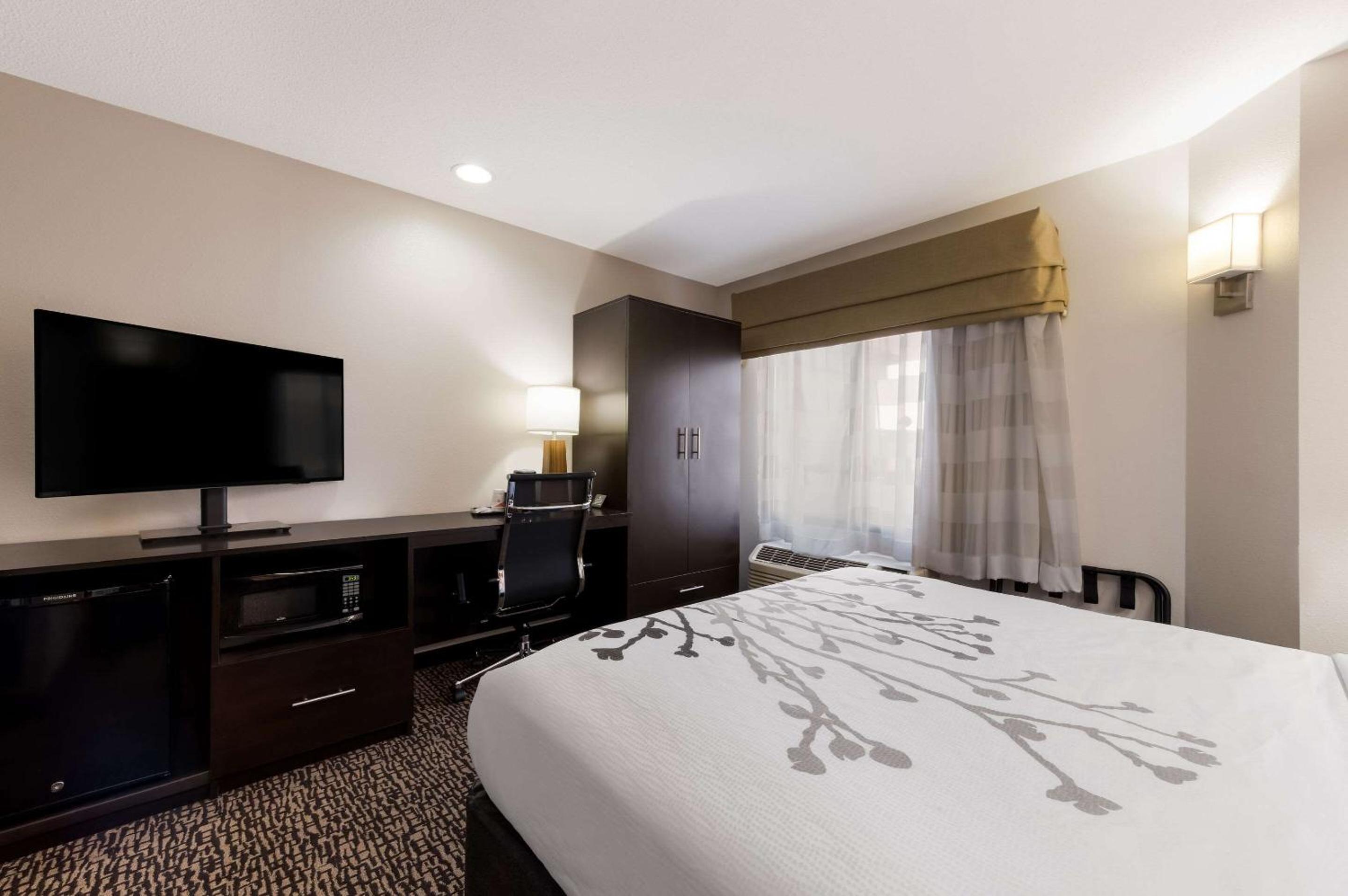 Queen Room - Disability Access/Non-Smoking - Photo 4
