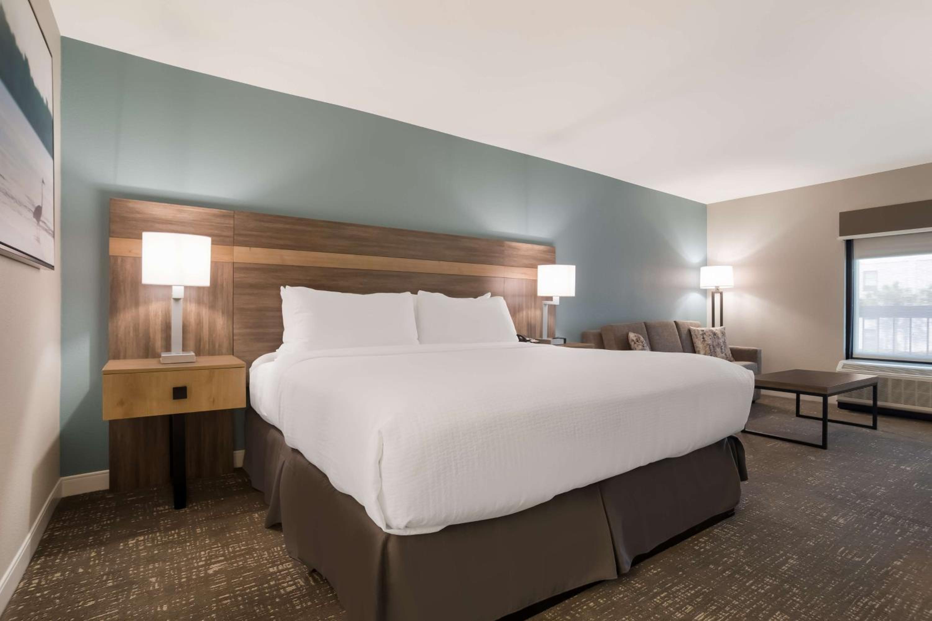 King Room with Roll-In Shower - Mobility Accessible - Photo 3