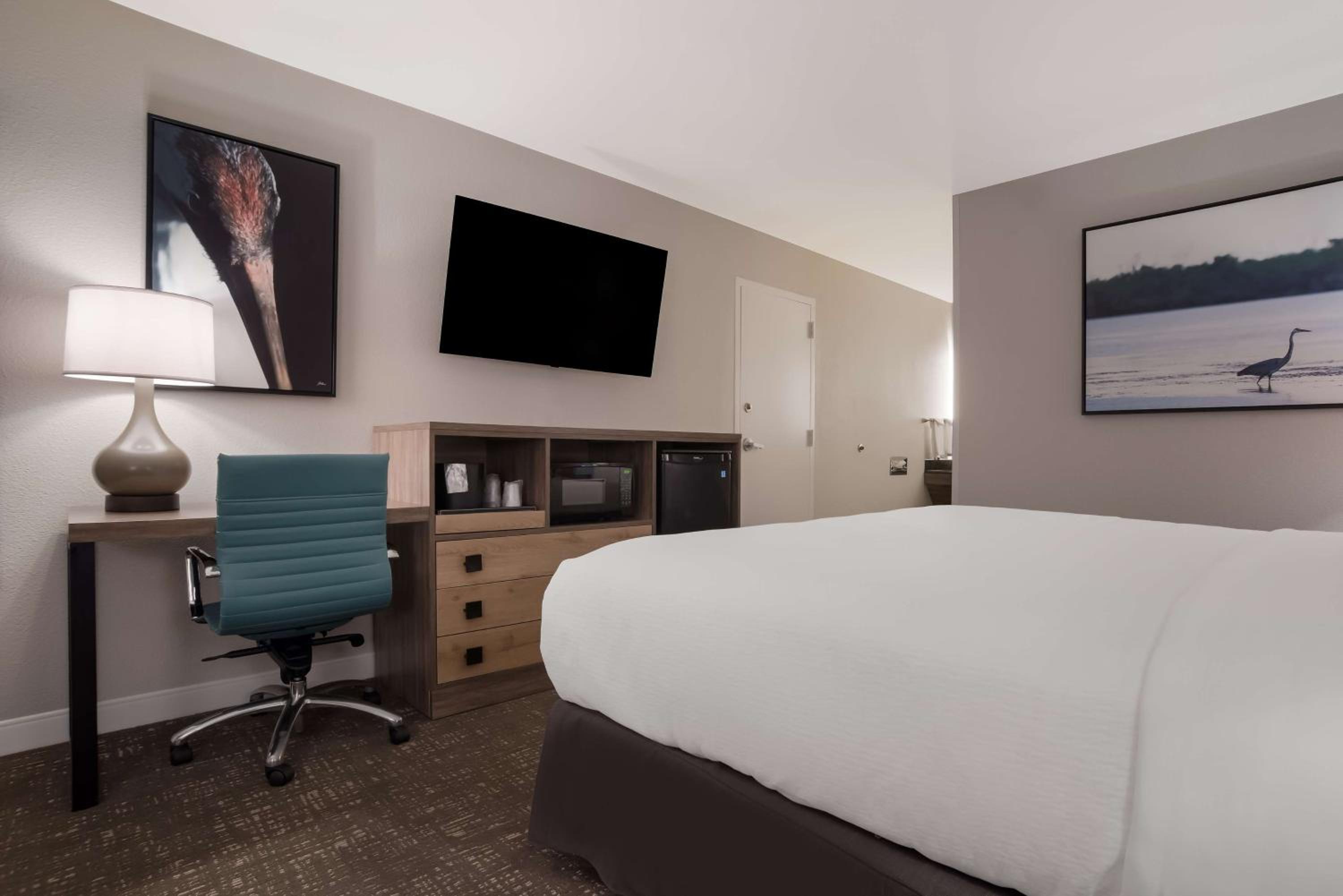 King Room - Non-Smoking - Photo 5