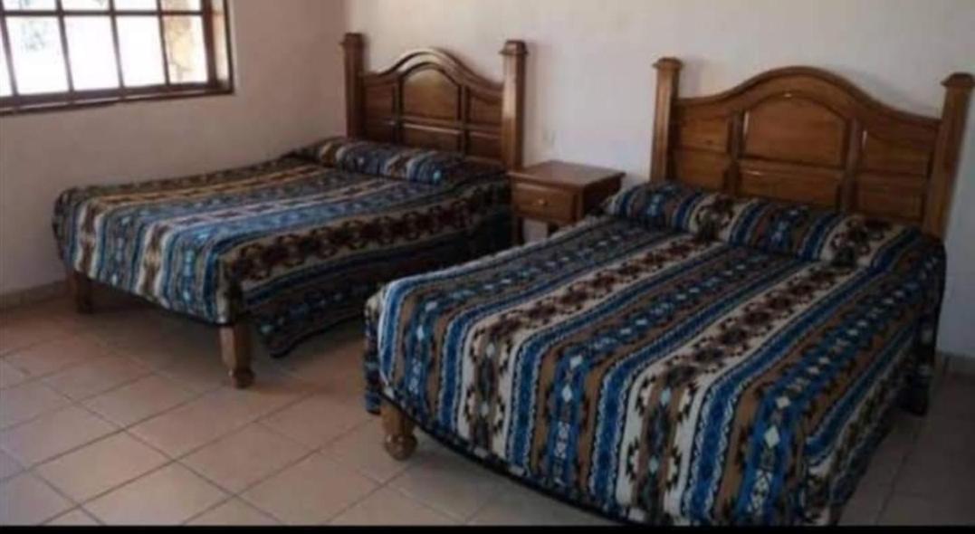 Twin Room photo 1