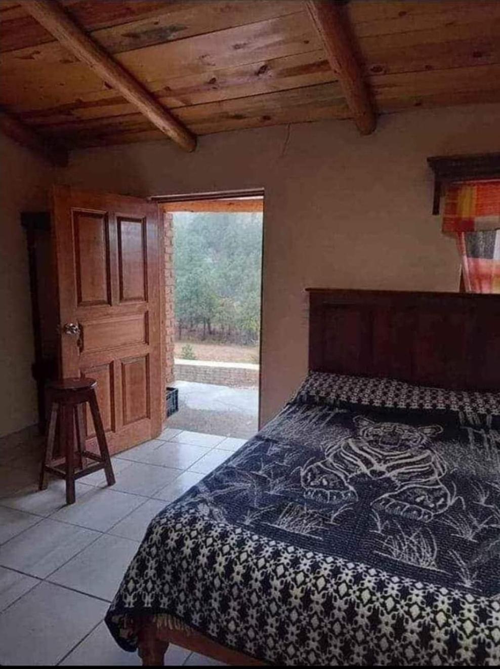 Triple Room photo 1