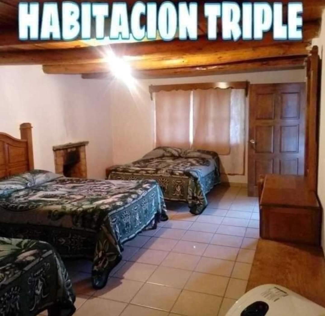 Triple Room photo 2