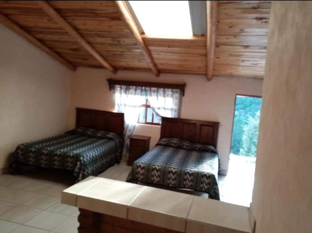 Triple Room photo 3