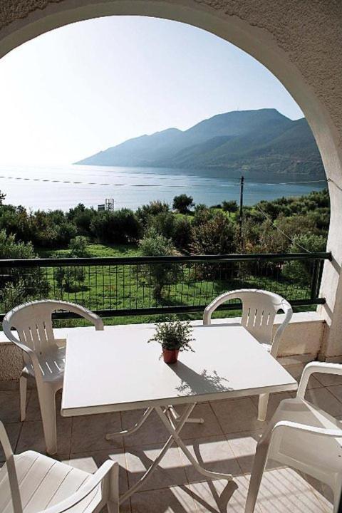 One-Bedroom Apartment - Photo 8