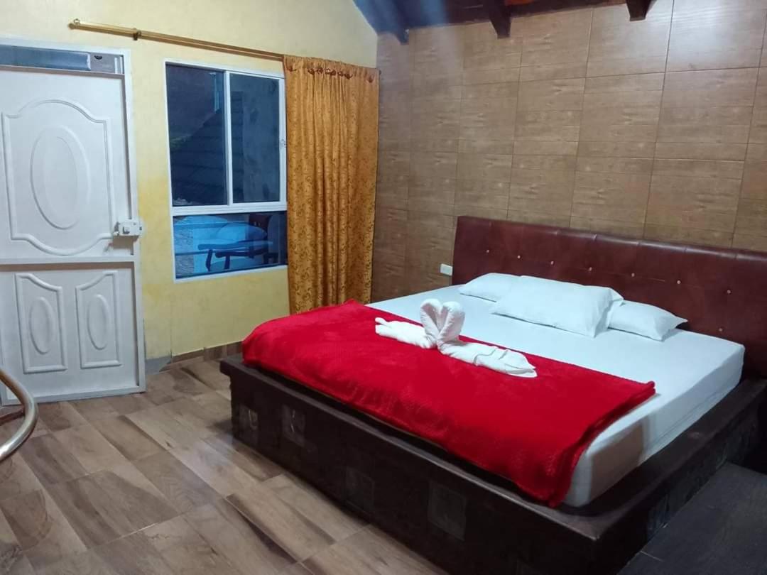 Family Suite photo 1