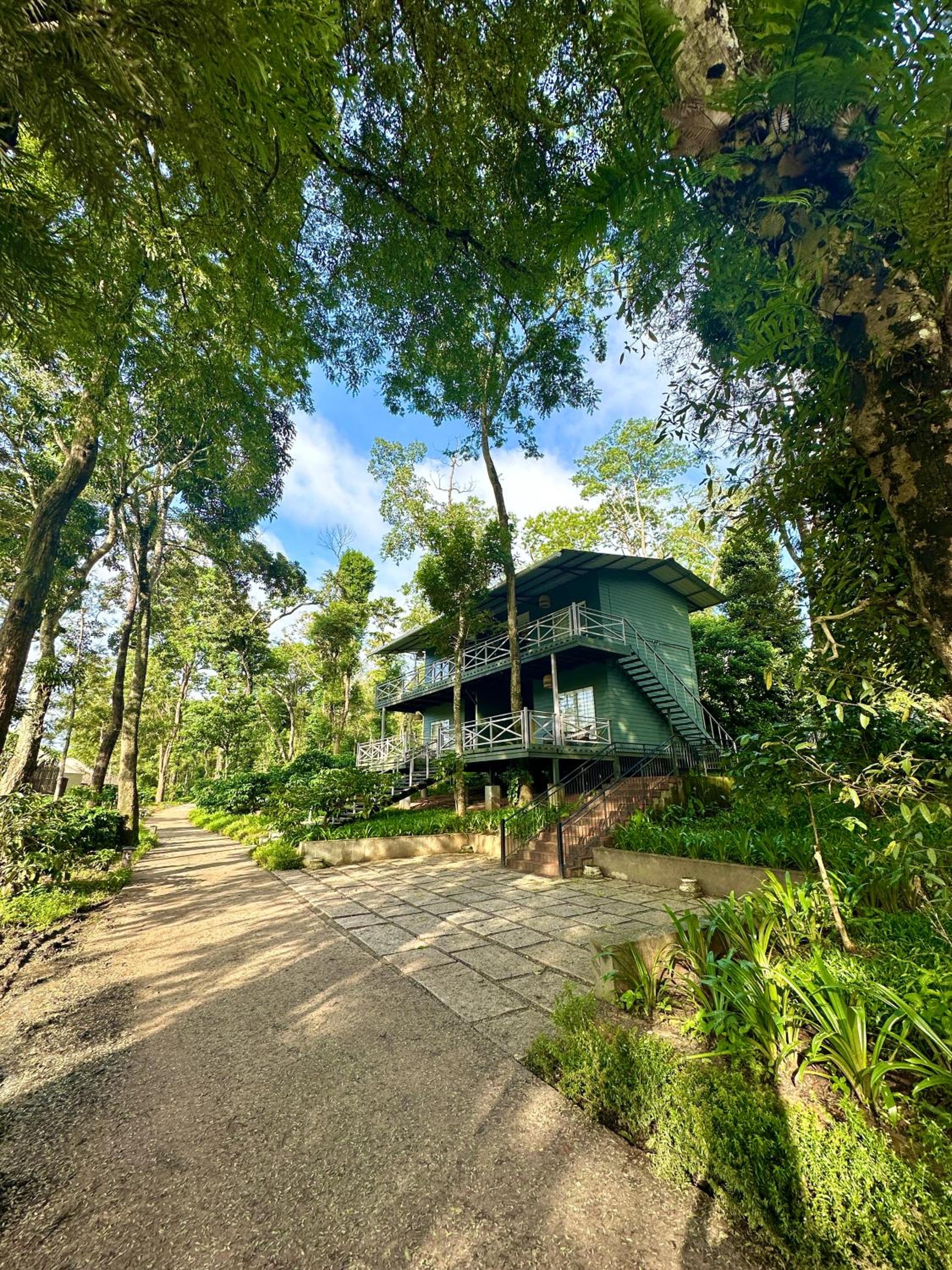 Tamarind Canopy Luxe Cabin - Photo 6