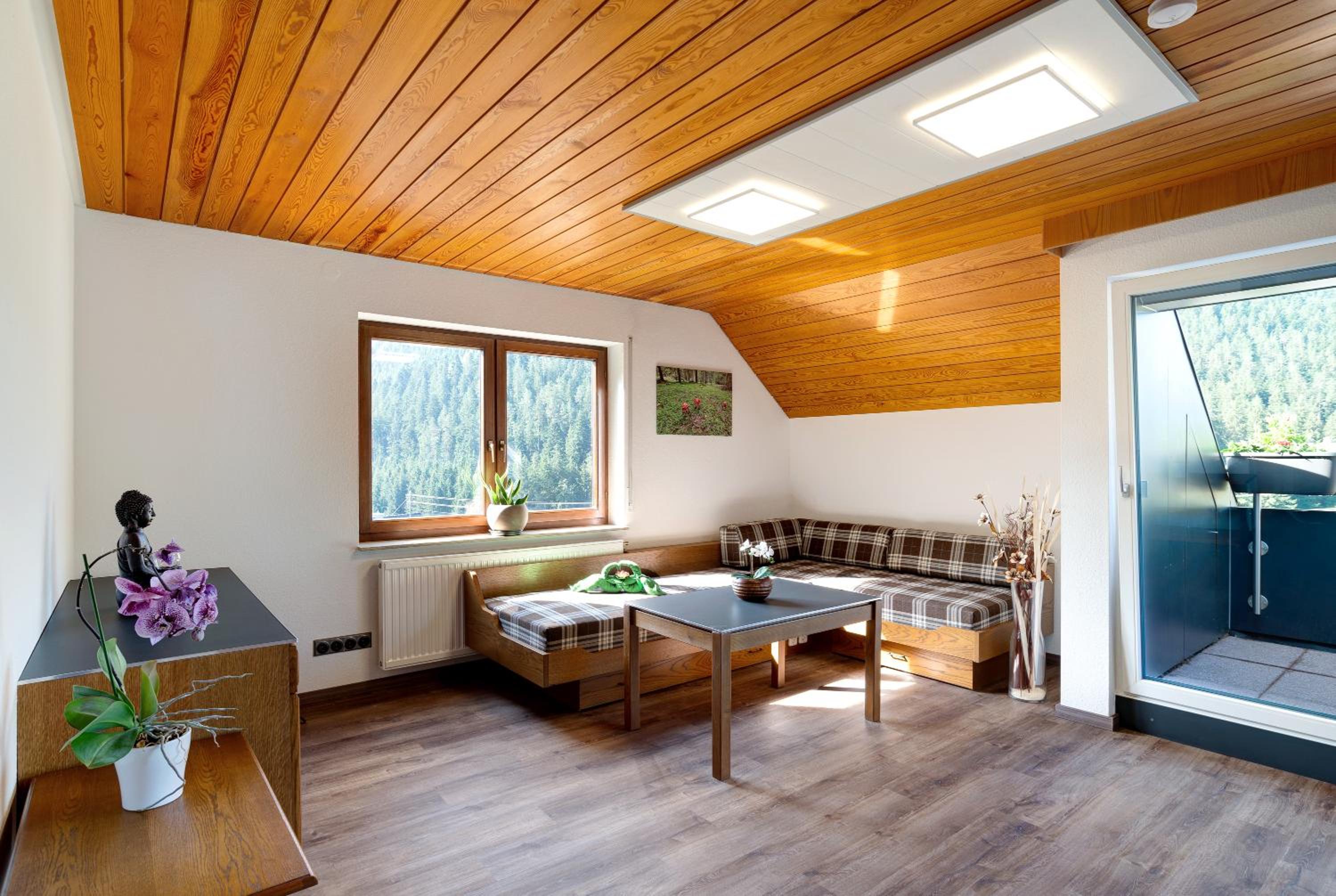 Superior One-Bedroom Apartment with Balcony photo 1