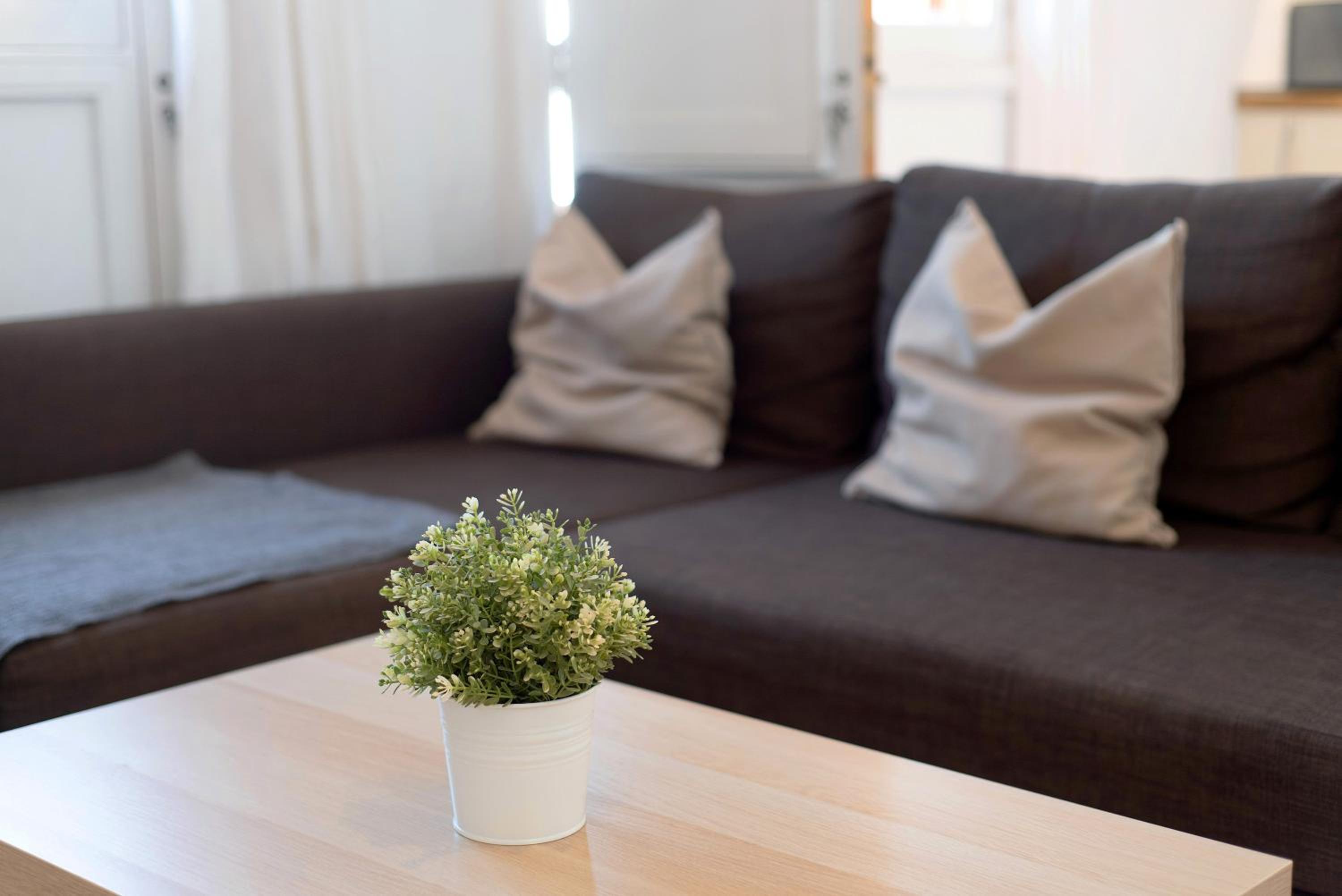 Superior One-Bedroom Apartment with Balcony photo 2