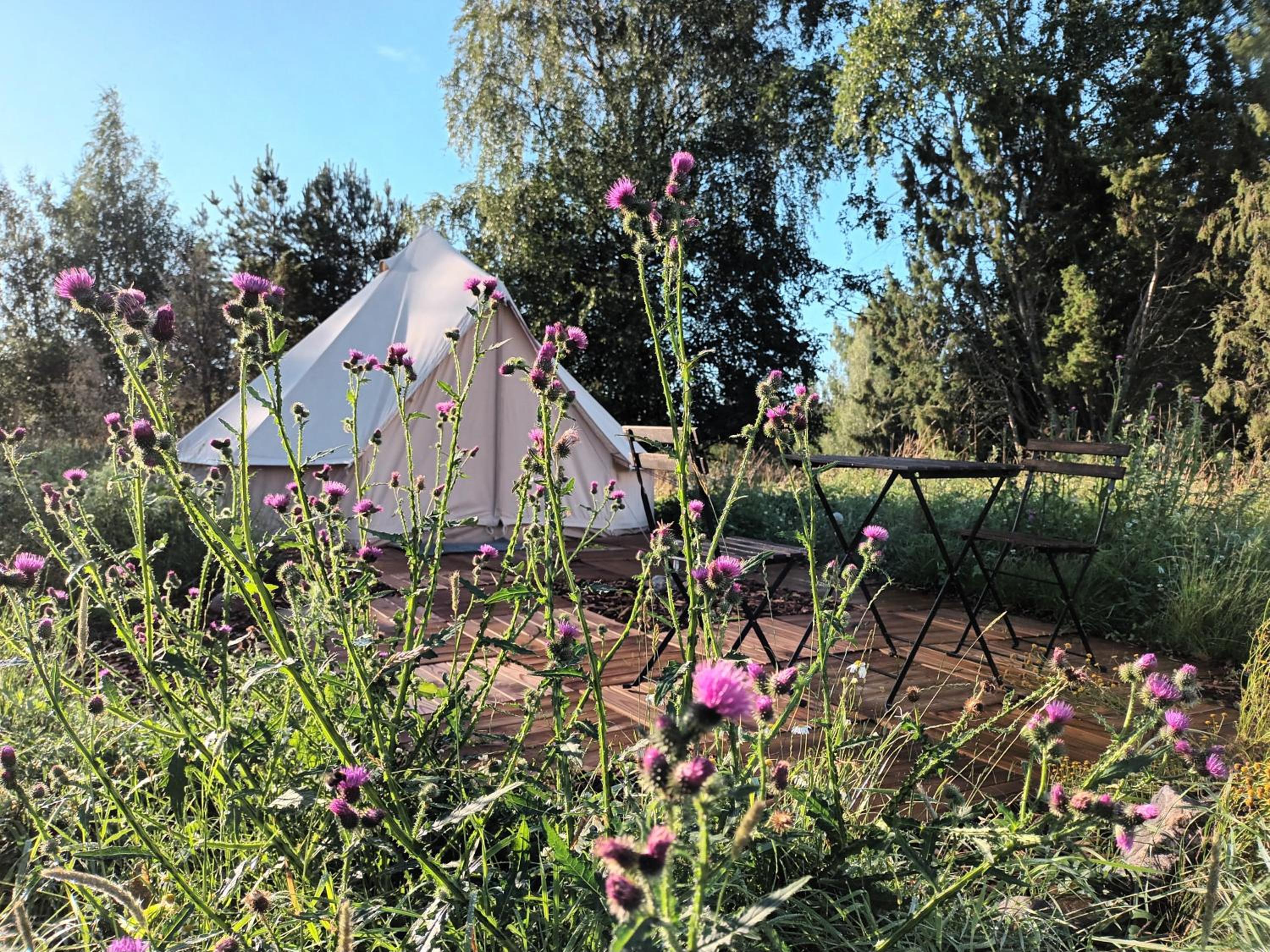 Tent - Photo 5
