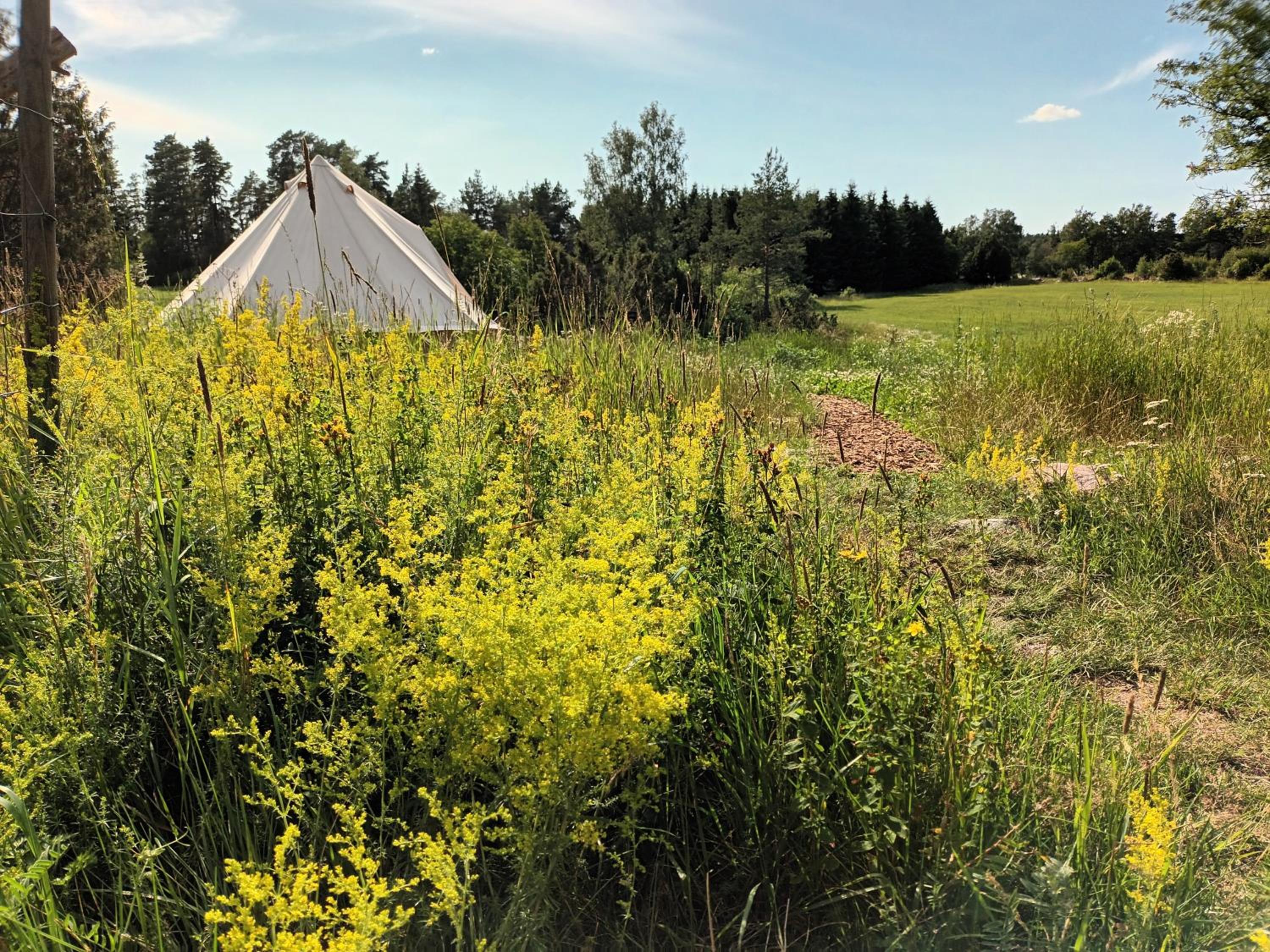 Tent - Photo 8