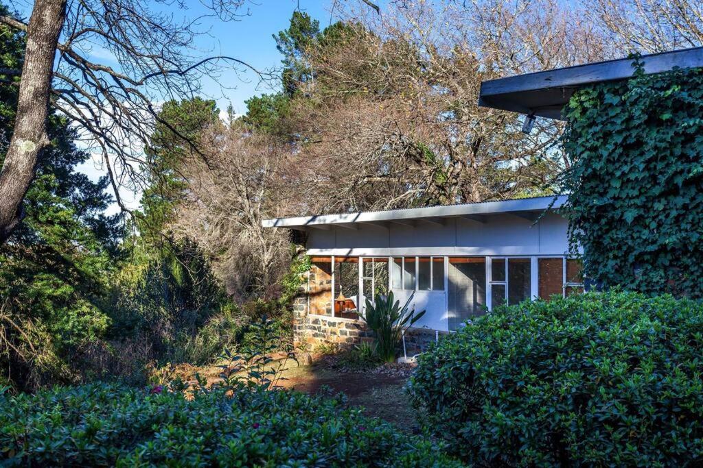 Three-Bedroom House photo 3