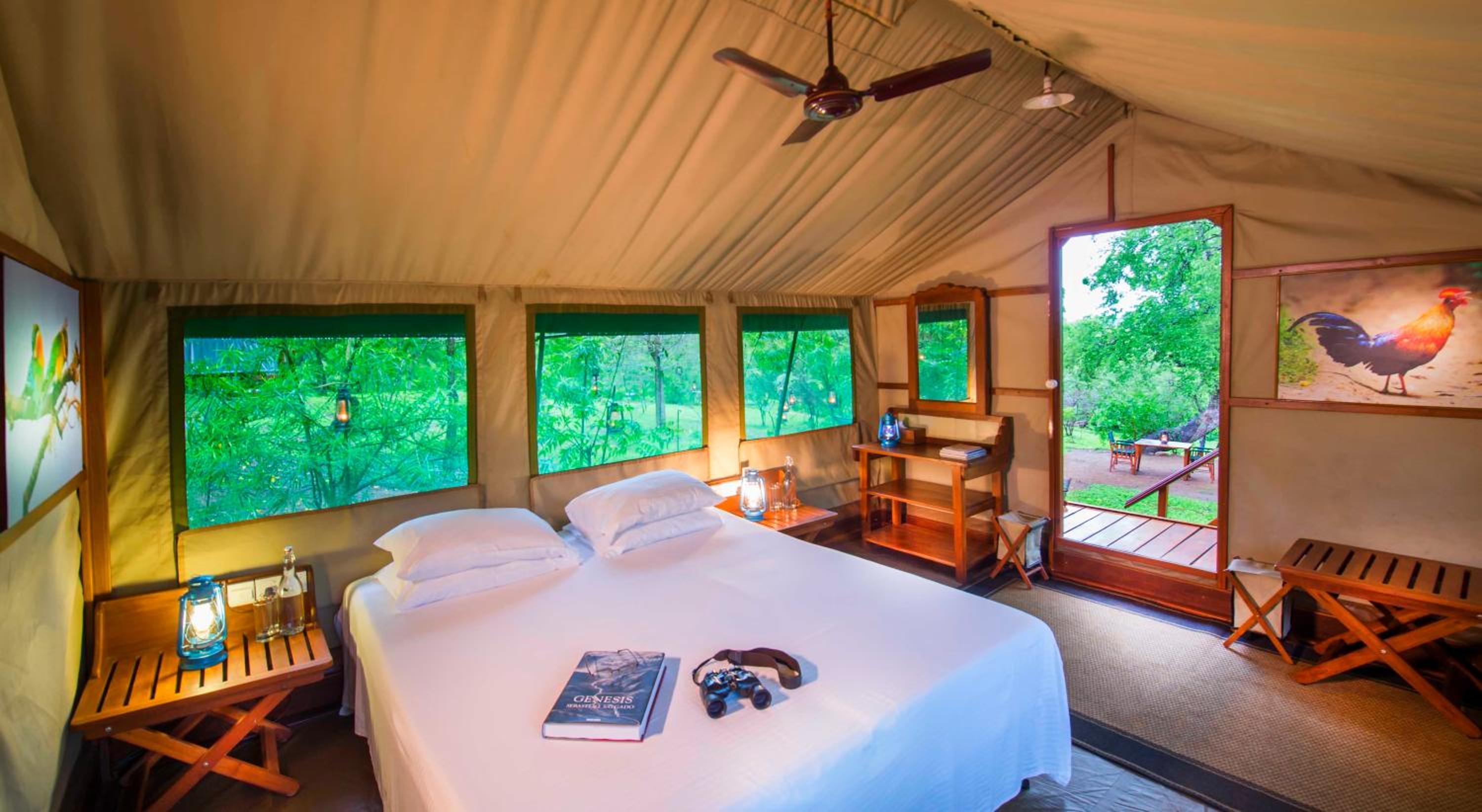 Tent with Safari photo 1