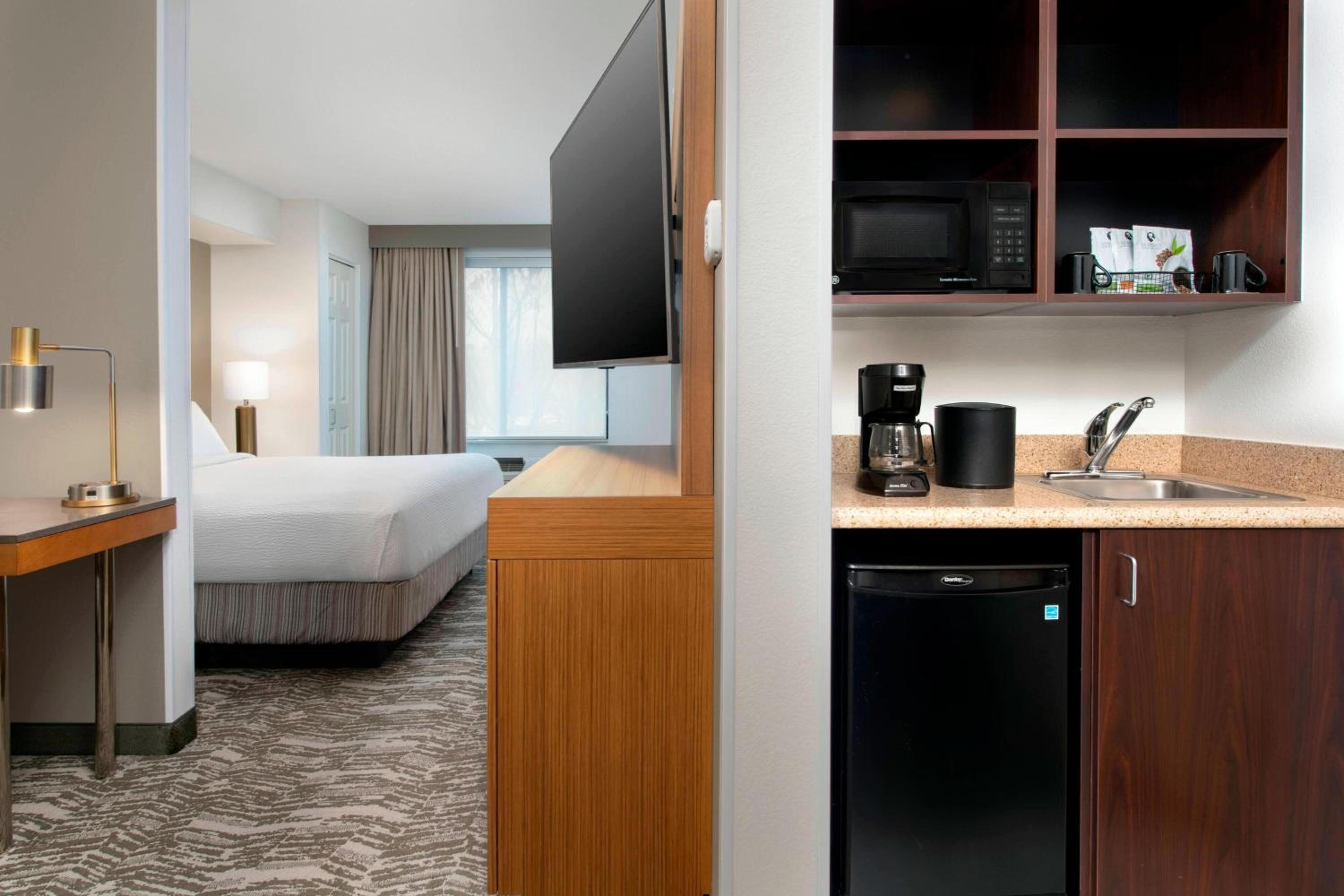 Deluxe King Suite with Sofa Bed - Photo 1