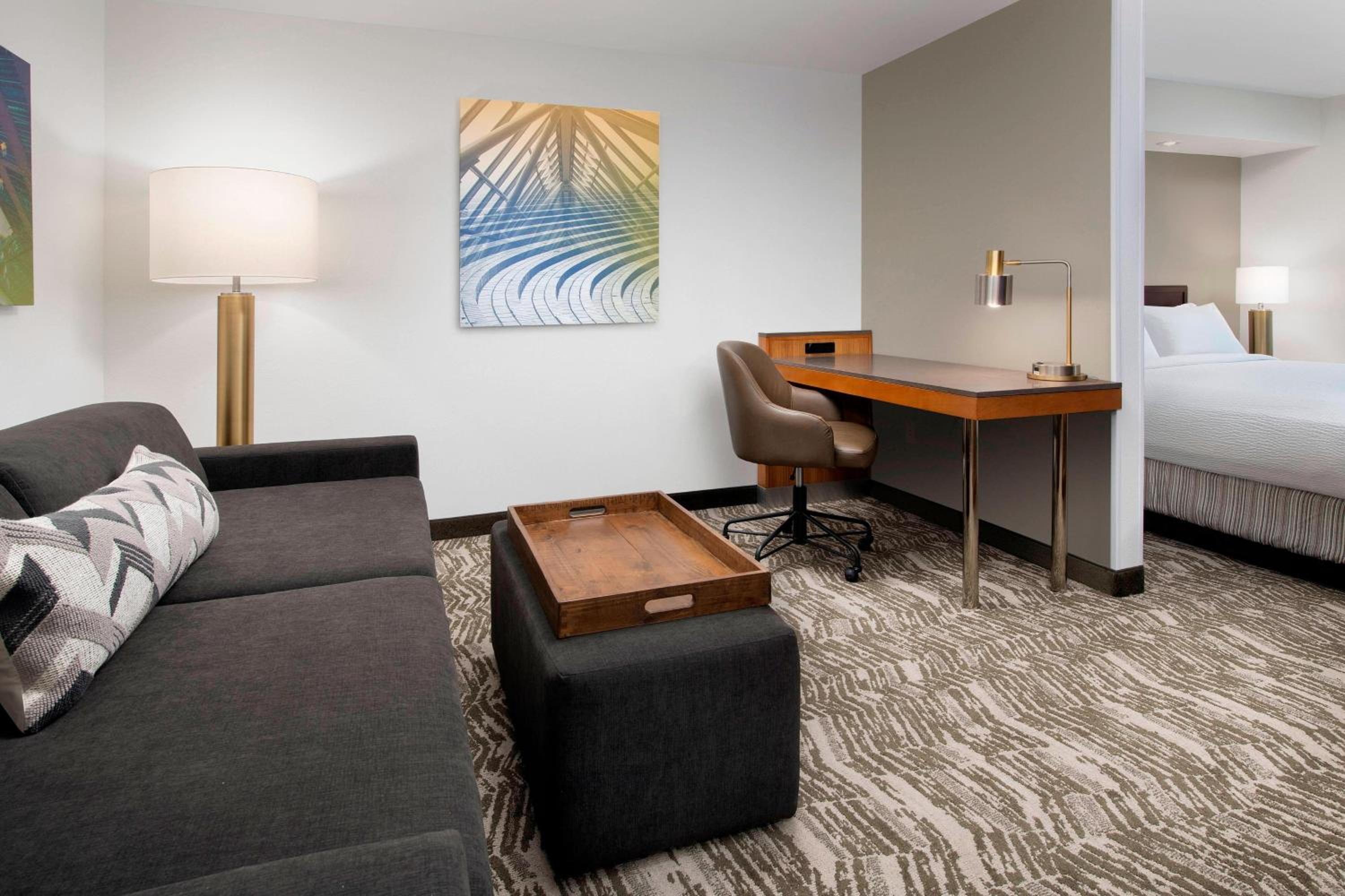 King Suite with Sofa Bed - Photo 1