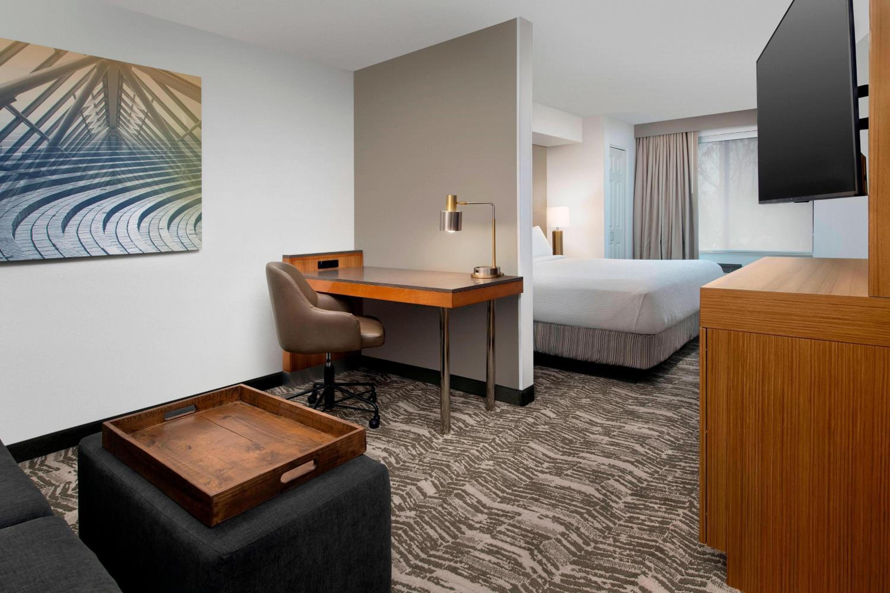 King Suite with Sofa Bed - Photo 5