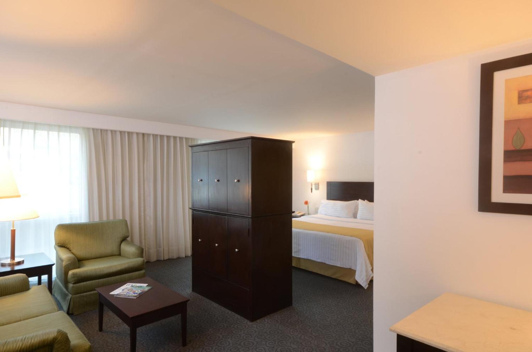 King Suite - Photo 4