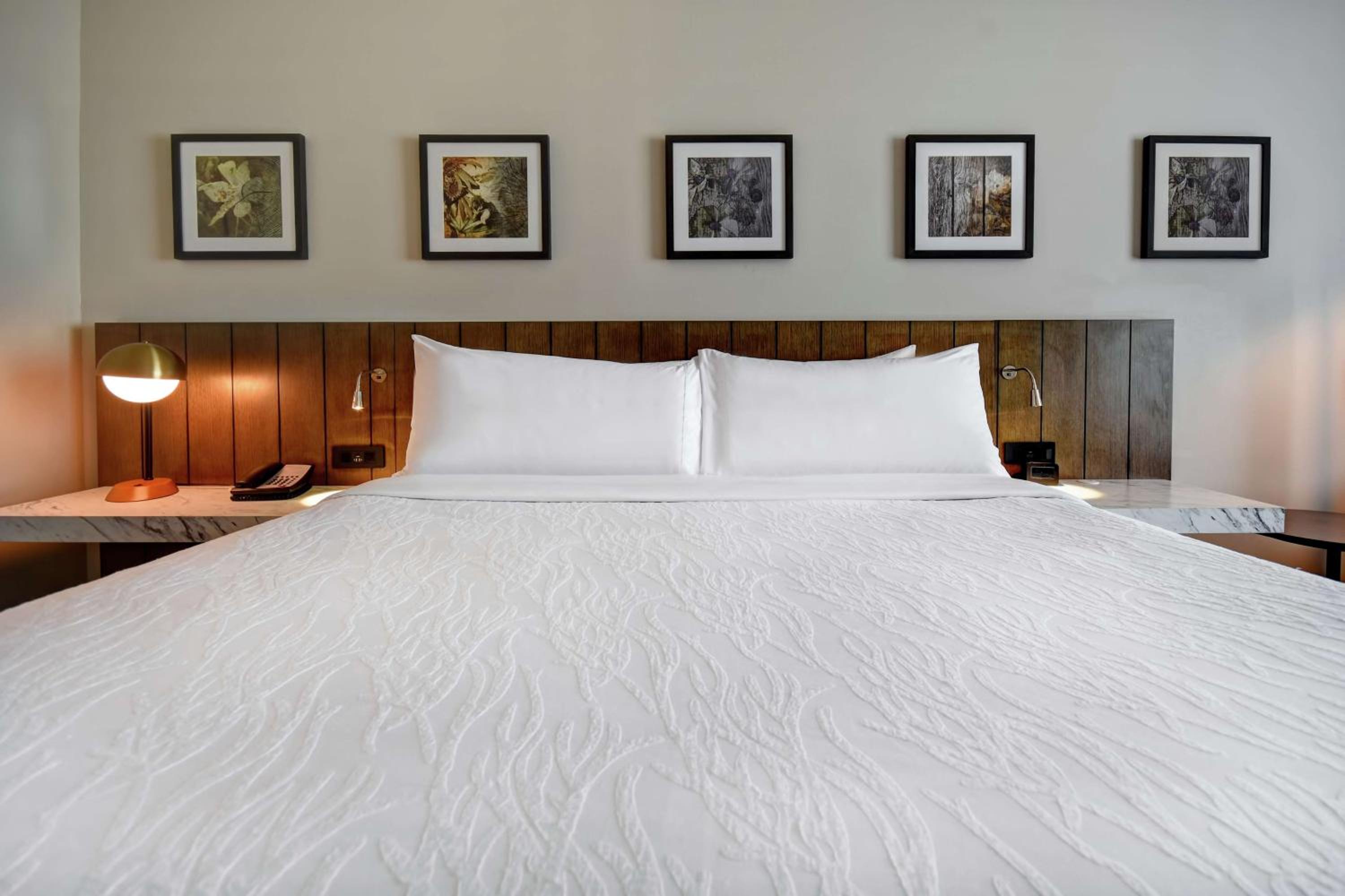 King Room photo 1