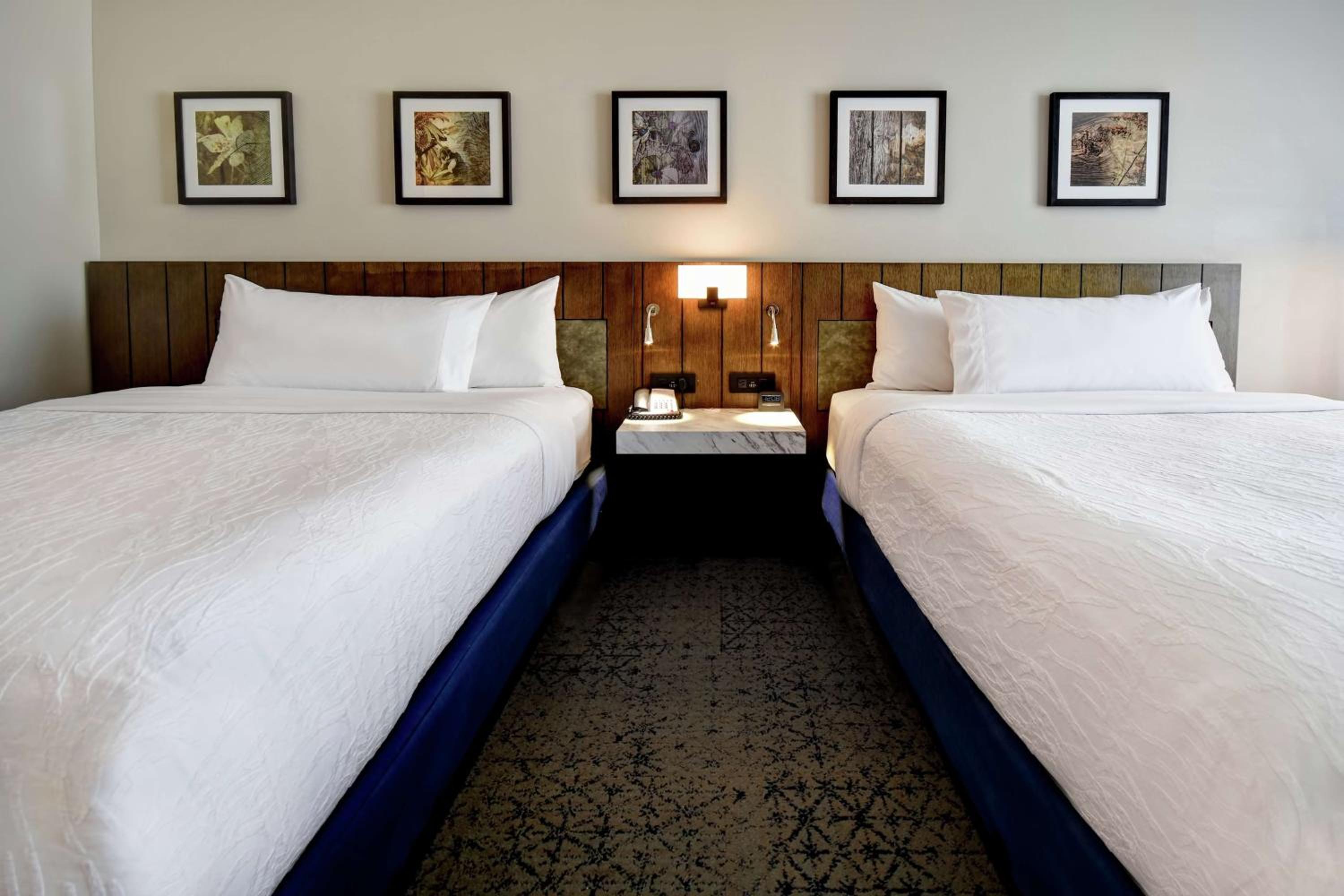 Queen Room with Two Queen Beds - Hearing Access photo 3