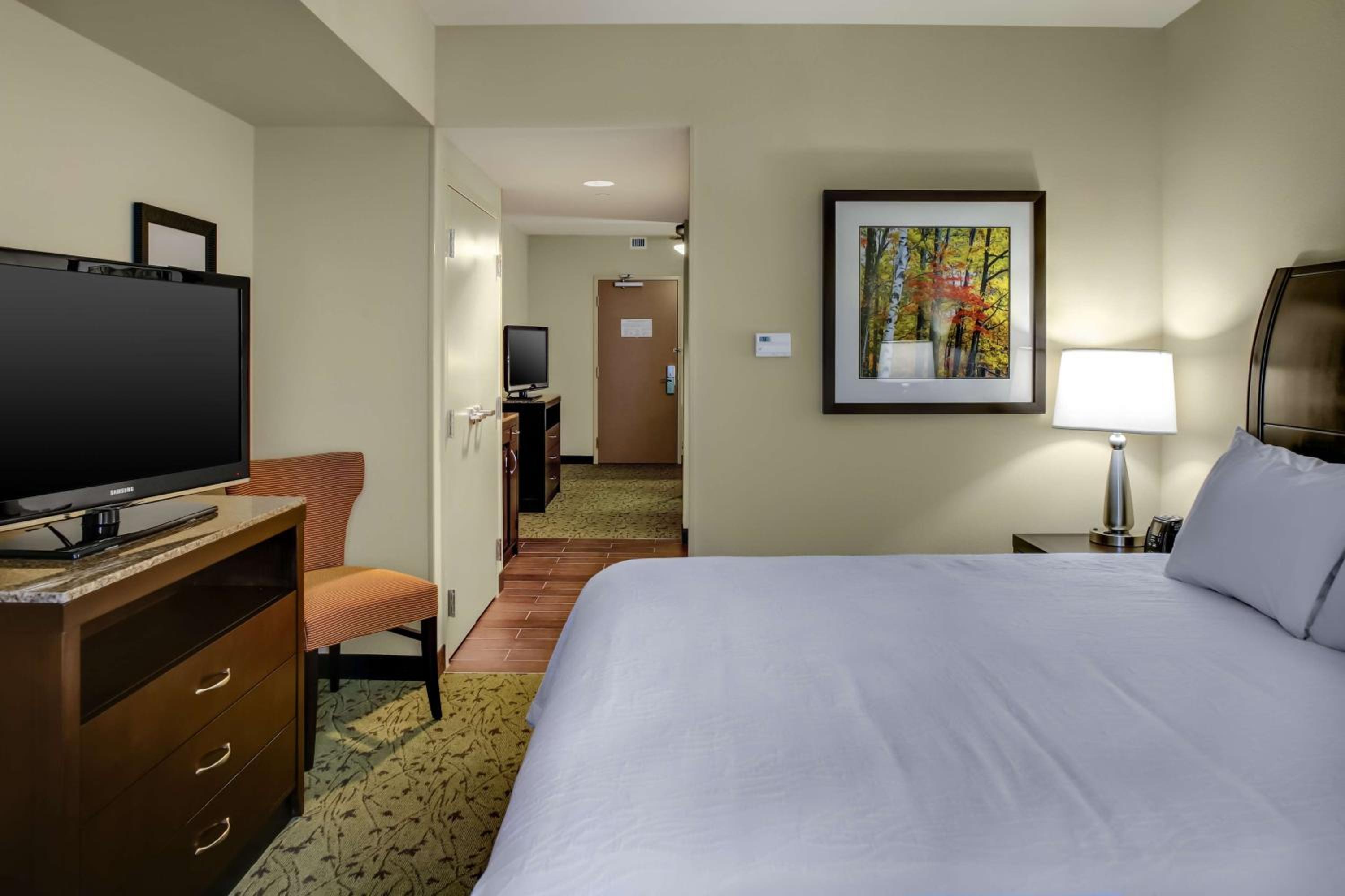 King Studio Suite - Photo 3