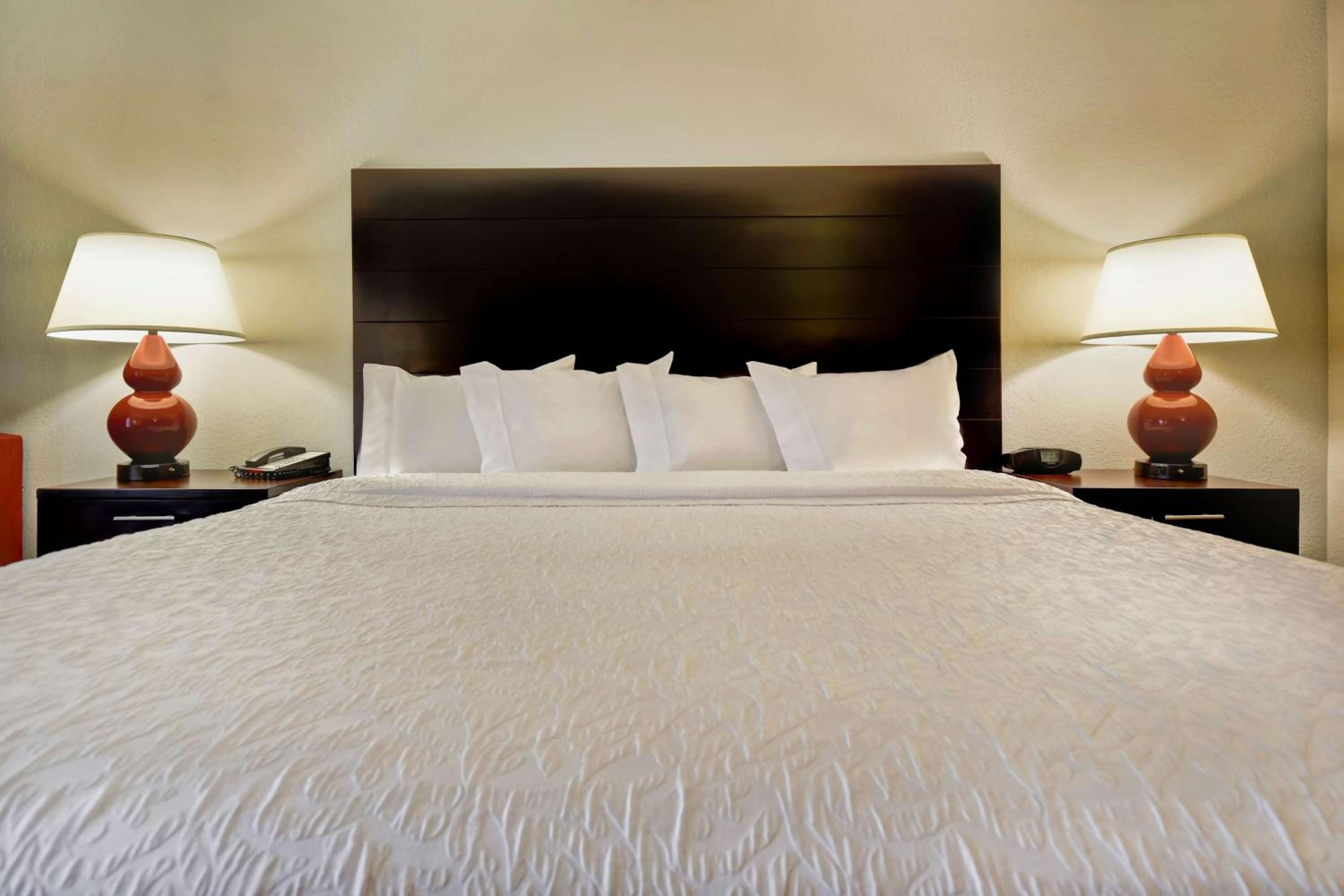 King Room with Sofa Bed - Hearing Accessible - Photo 1