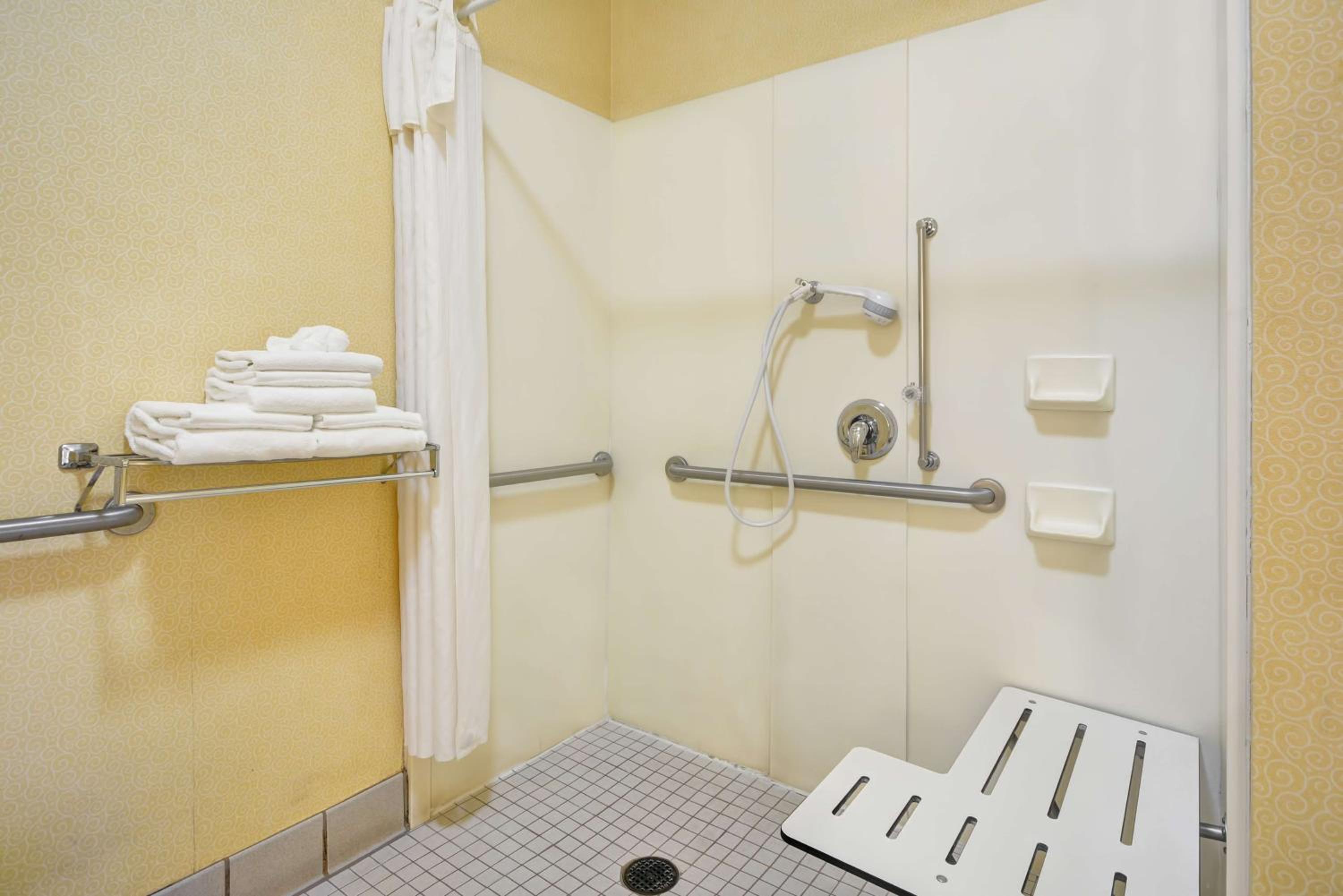 Queen Studio - Disability Access Roll in Shower photo 3
