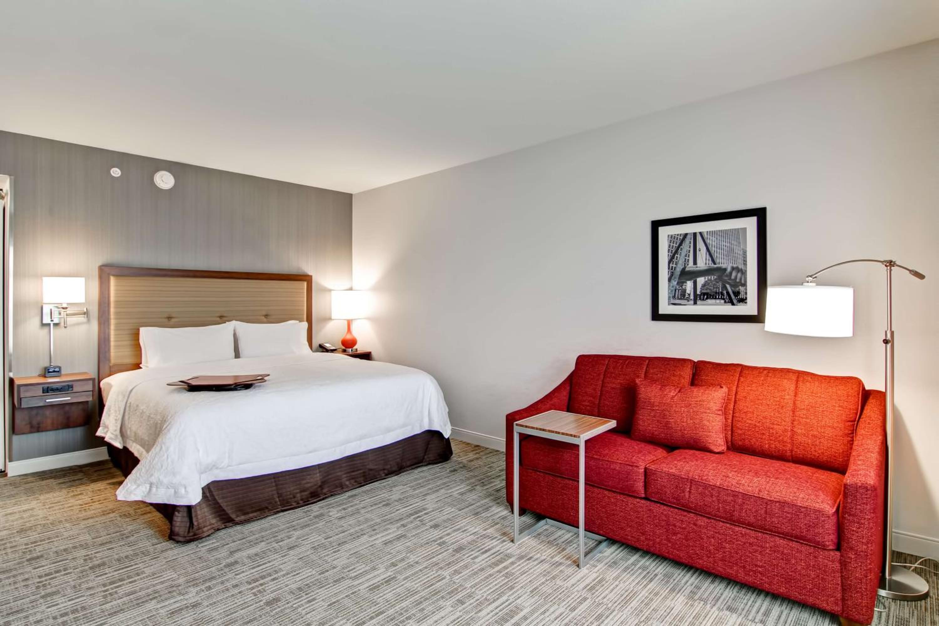 King Room with Sofa Bed - Hearing Accessible/Non-Smoking