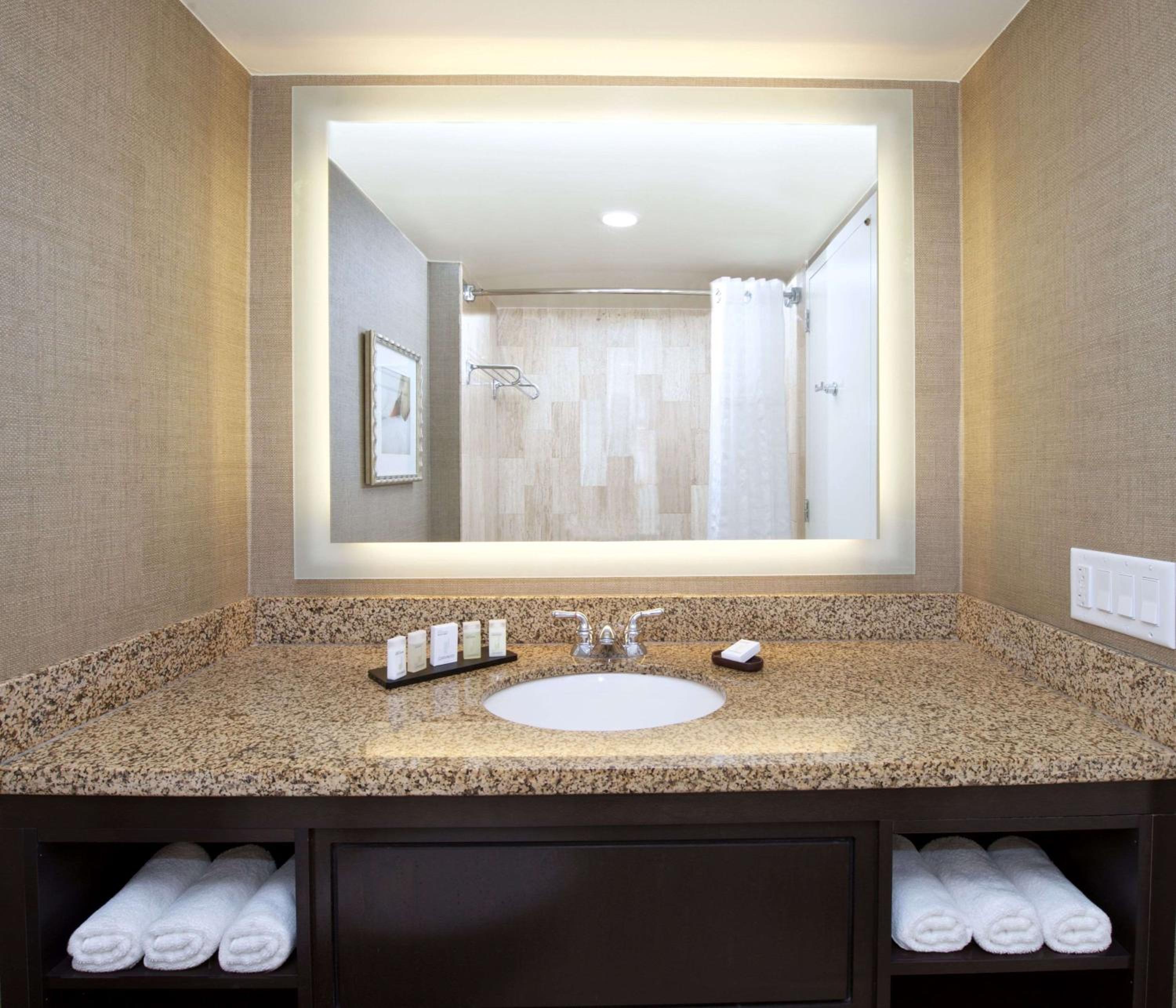 King Suite - Photo 4