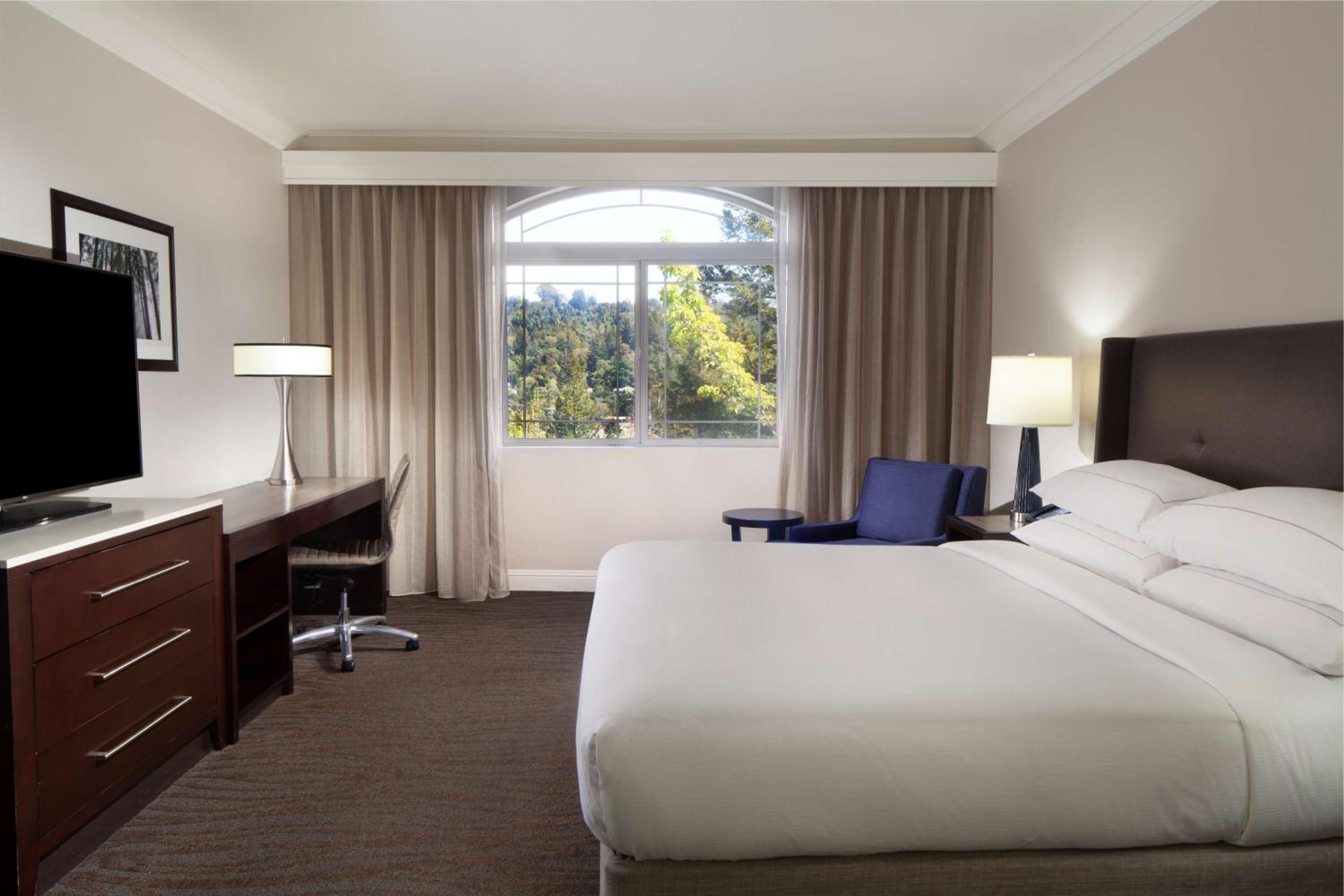 One-Bedroom King Suite with Patio or Balcony - Photo 1