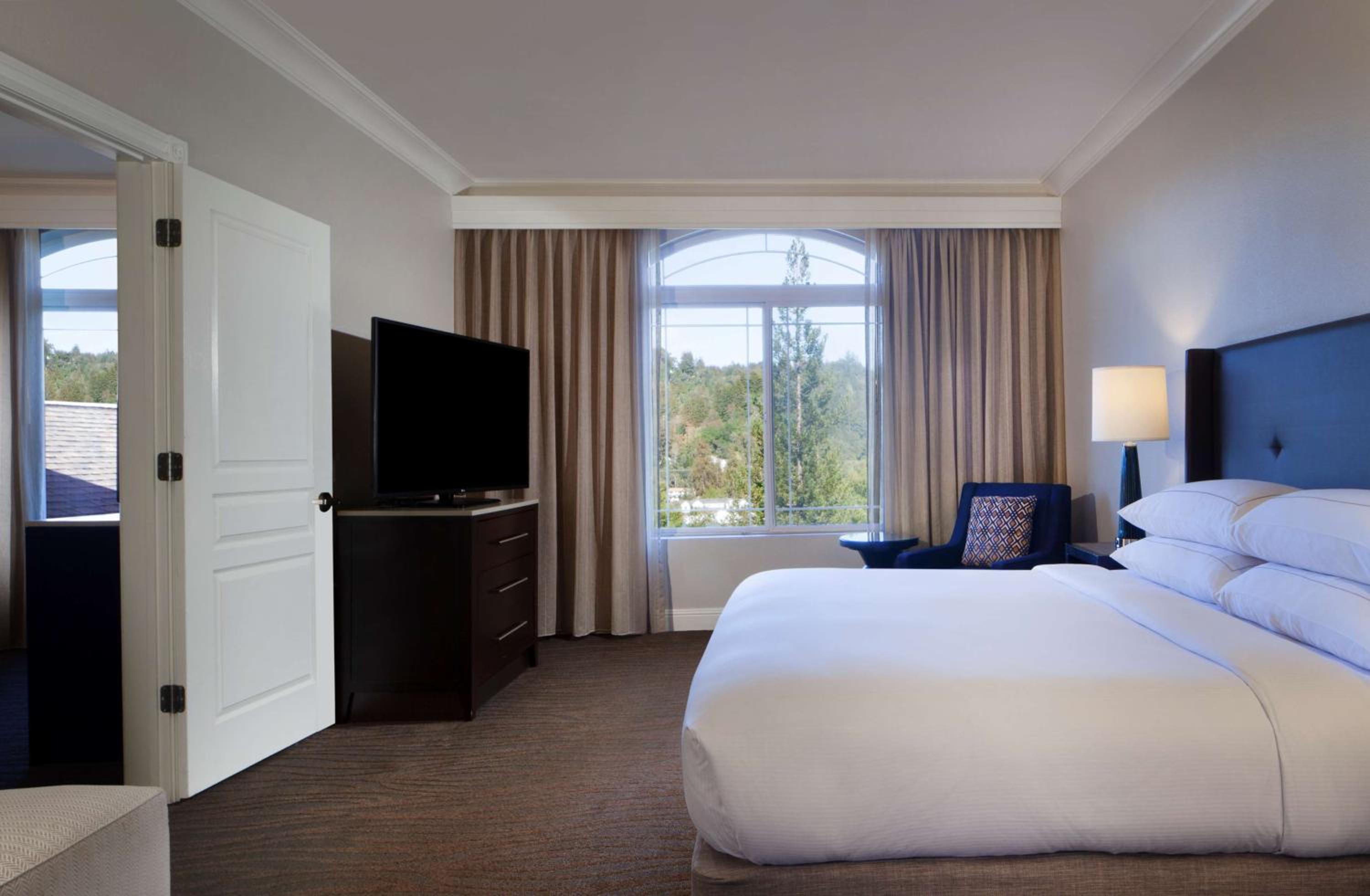 One-Bedroom King Suite with Sofa Bed - Photo 3
