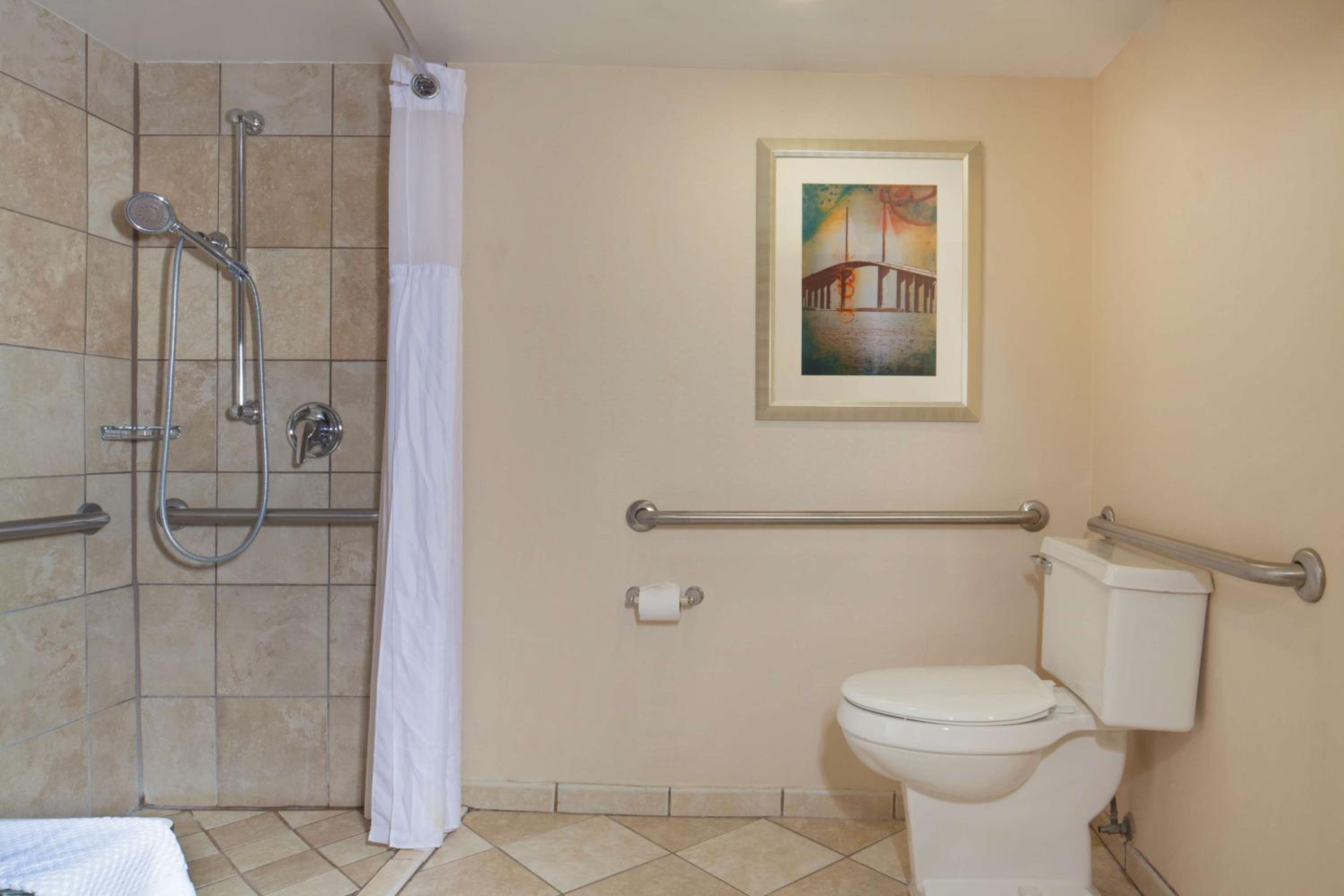 King Room with Roll-In Shower - Mobility/Hearing Accessible - Photo 2