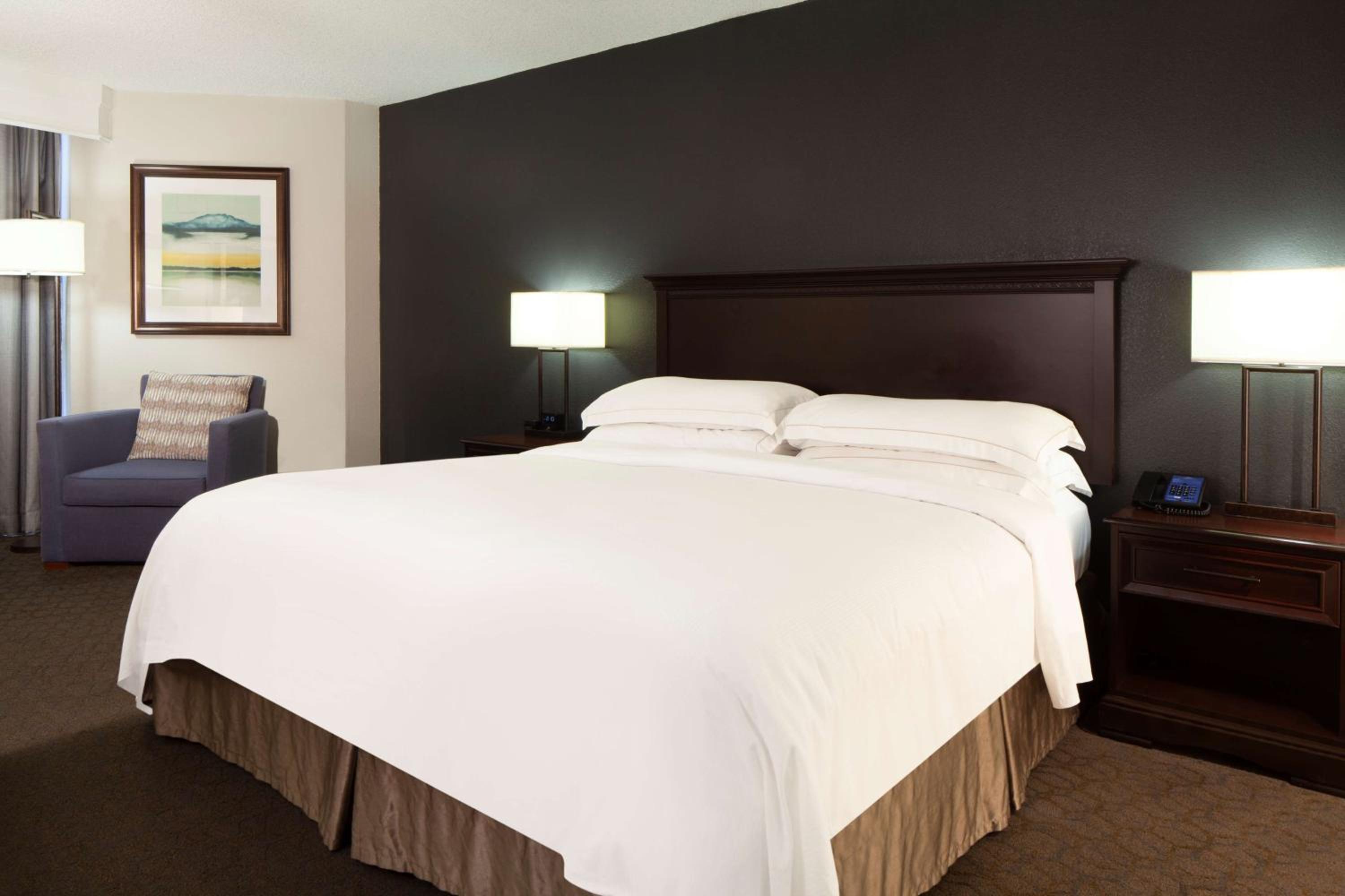 Deluxe King Room - Photo 4