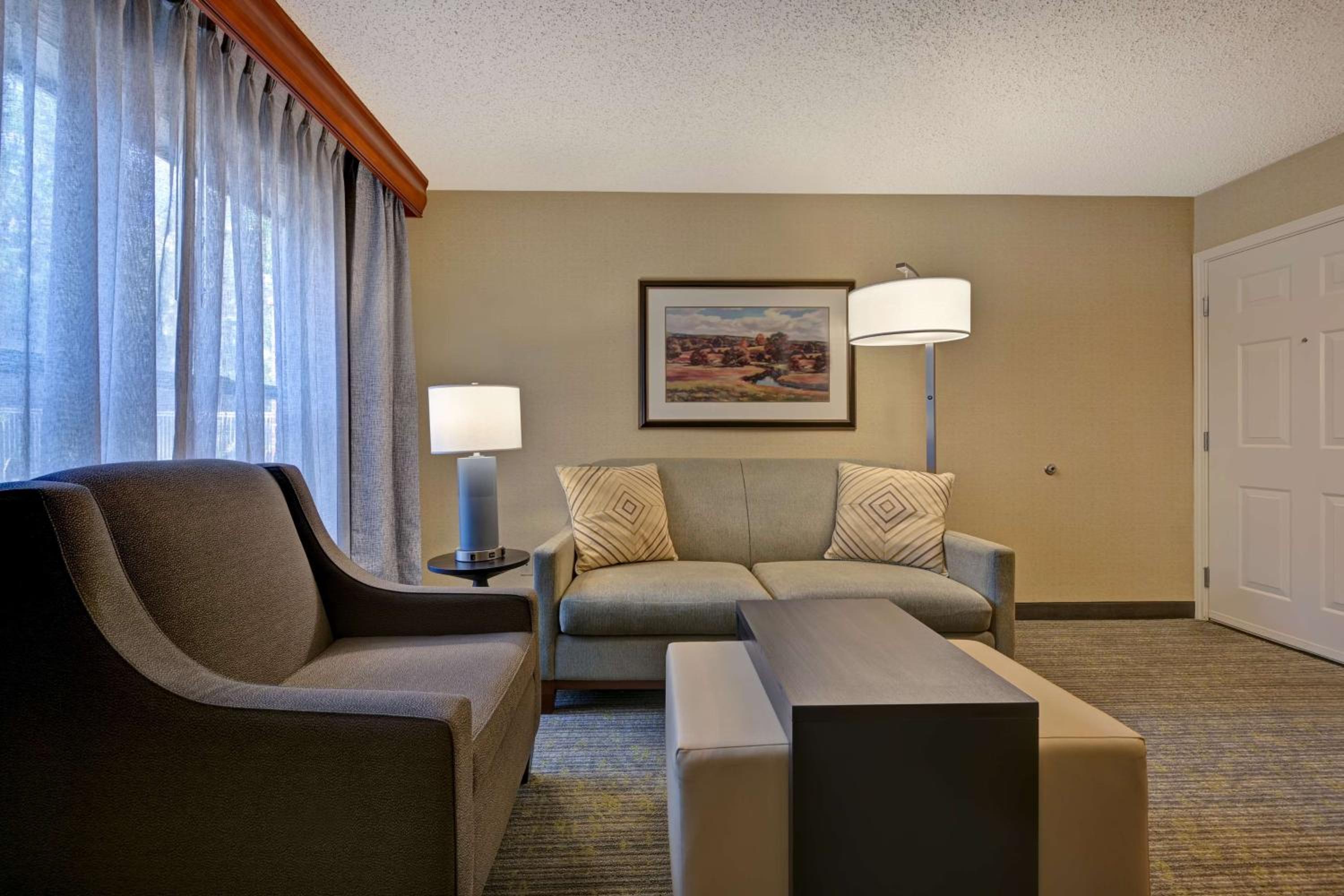 One-Bedroom King Suite - Non-Smoking - Photo 4