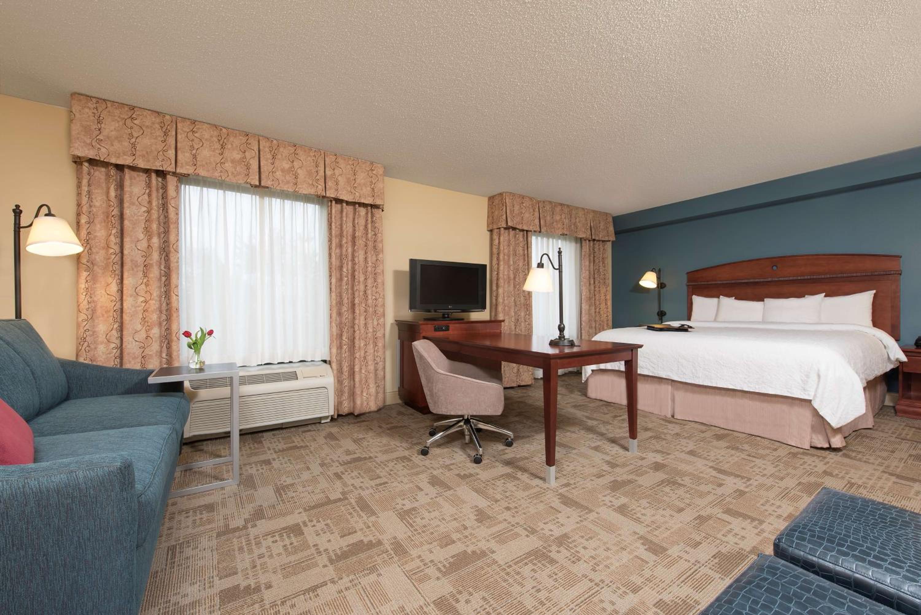 King Studio Suite with Sofa Bed - Non-Smoking - Photo 3