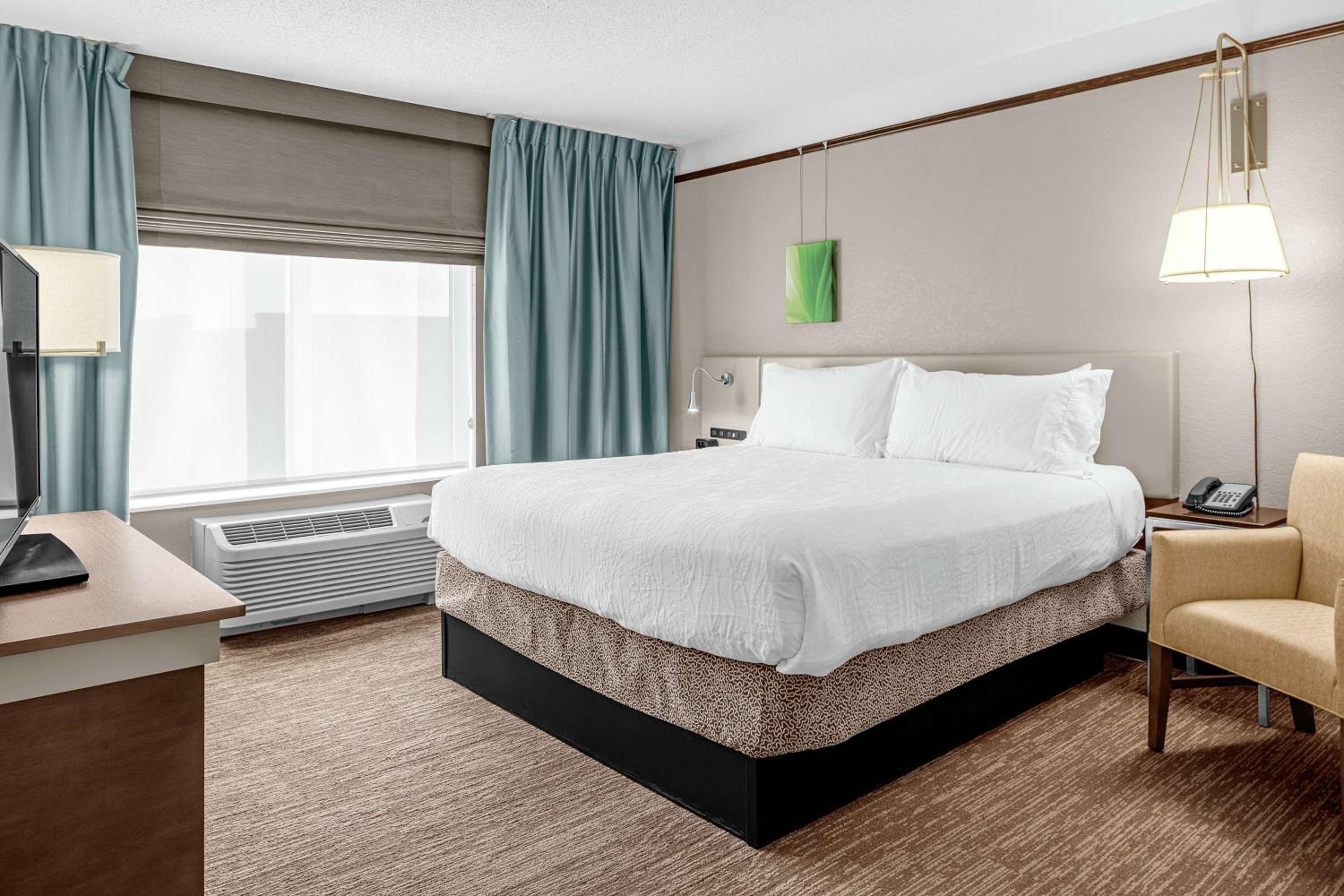 One-Bedroom King Suite with Sofa Bed - Photo 3