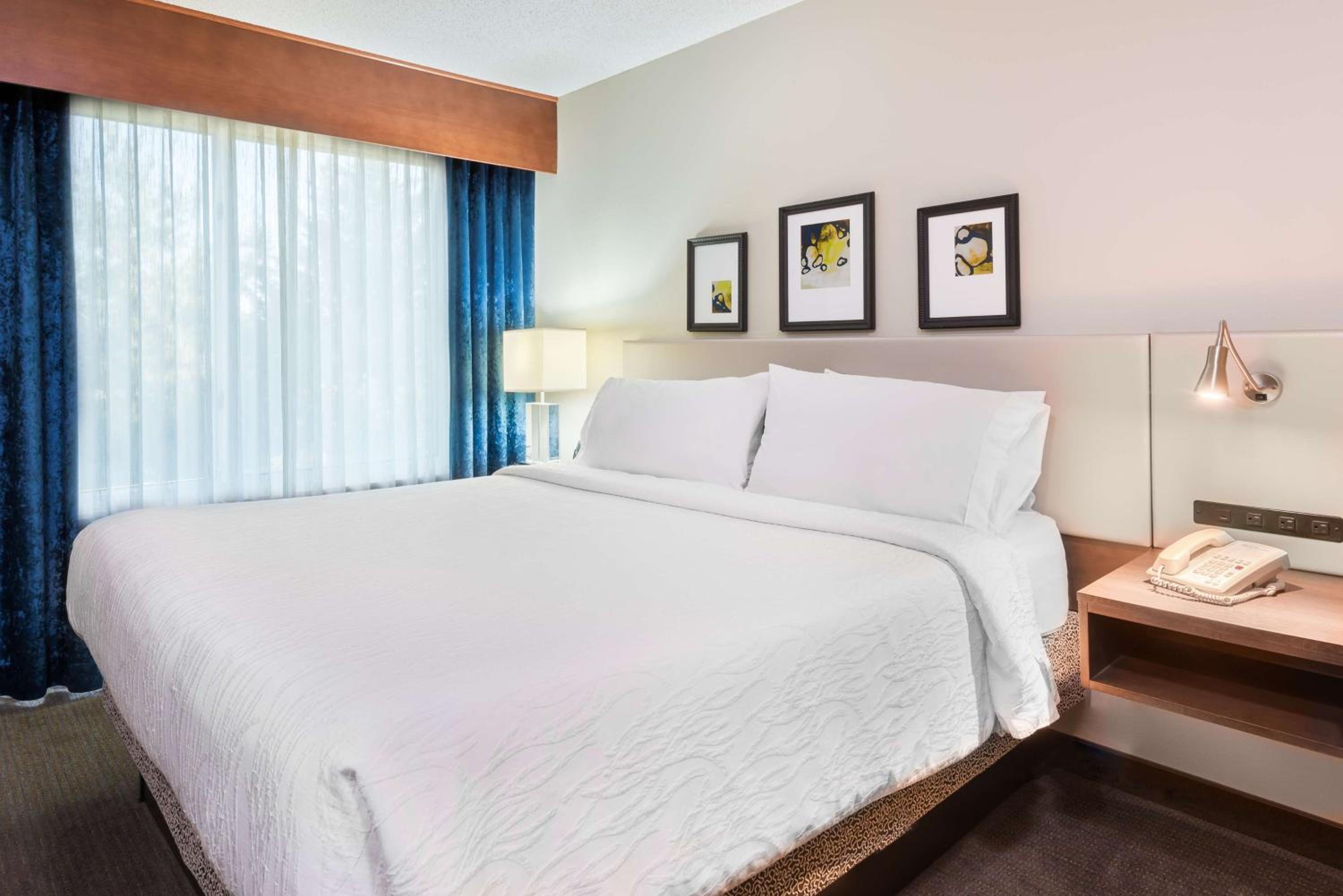 Junior King Suite with Sofa Bed - Photo 1