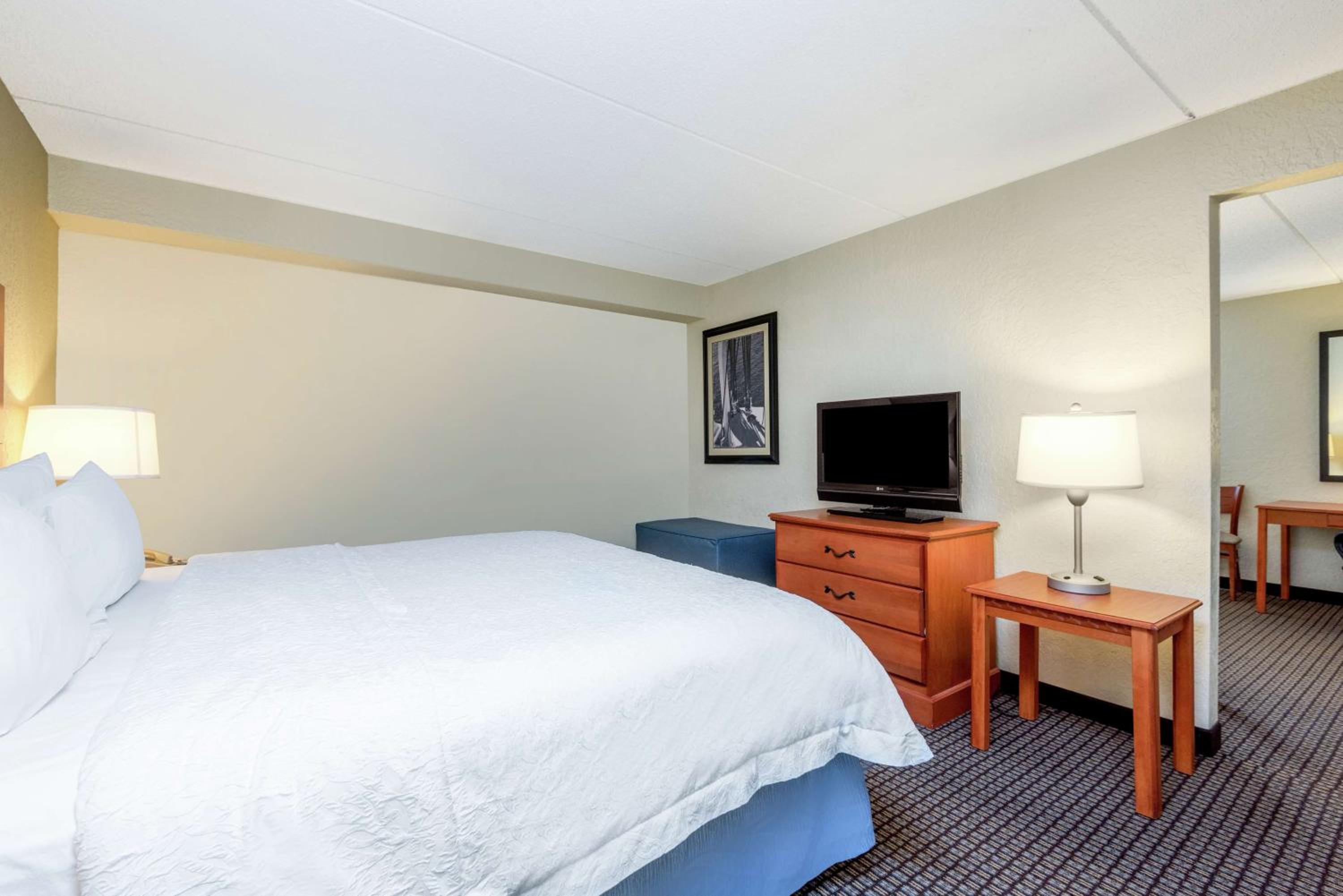 One-Bedroom King Suite with Sofa Bed - Non-Smoking - Photo 3