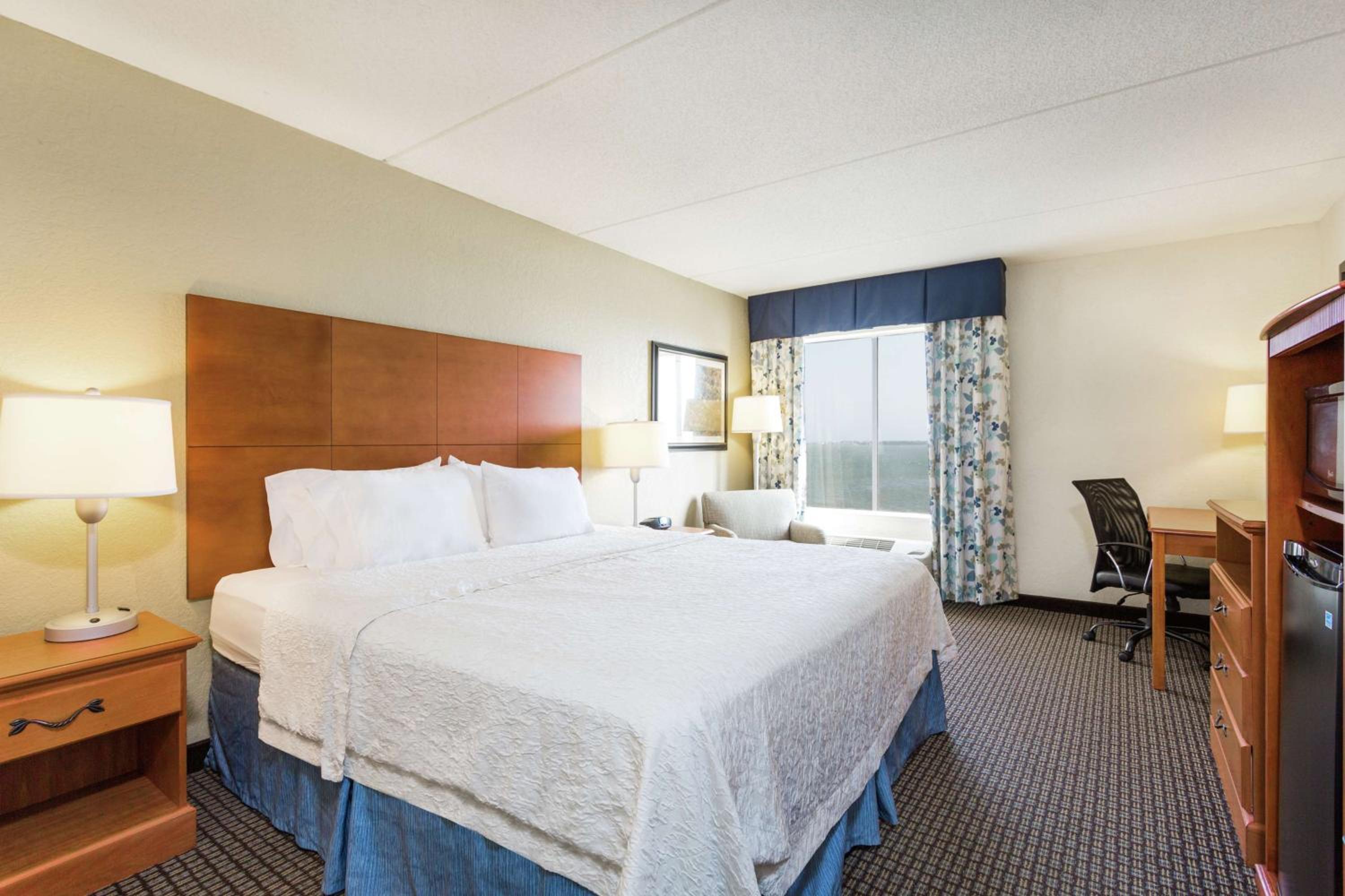 King Room - Non-Smoking - Photo 3
