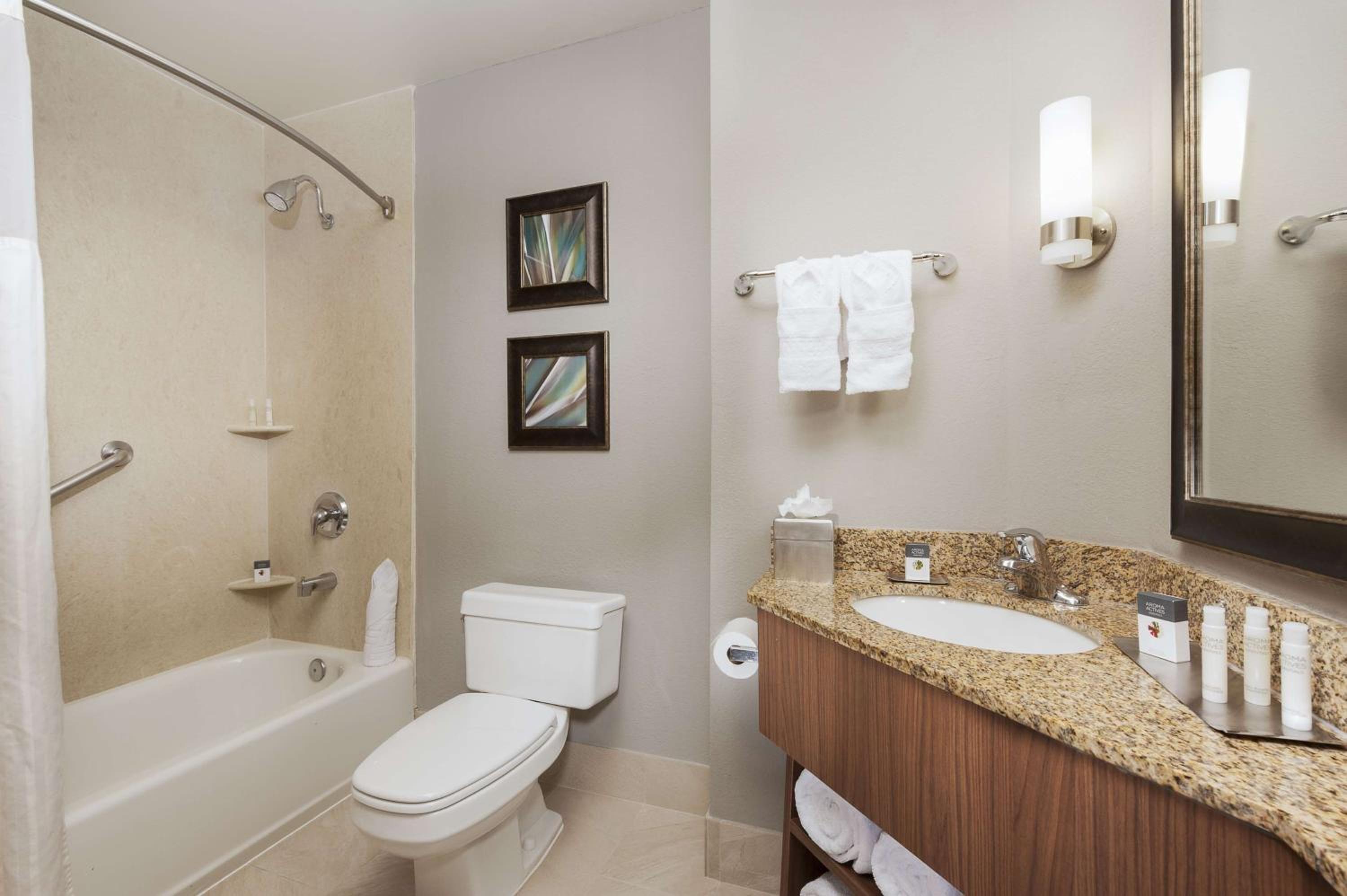 Junior King Suite - Photo 4