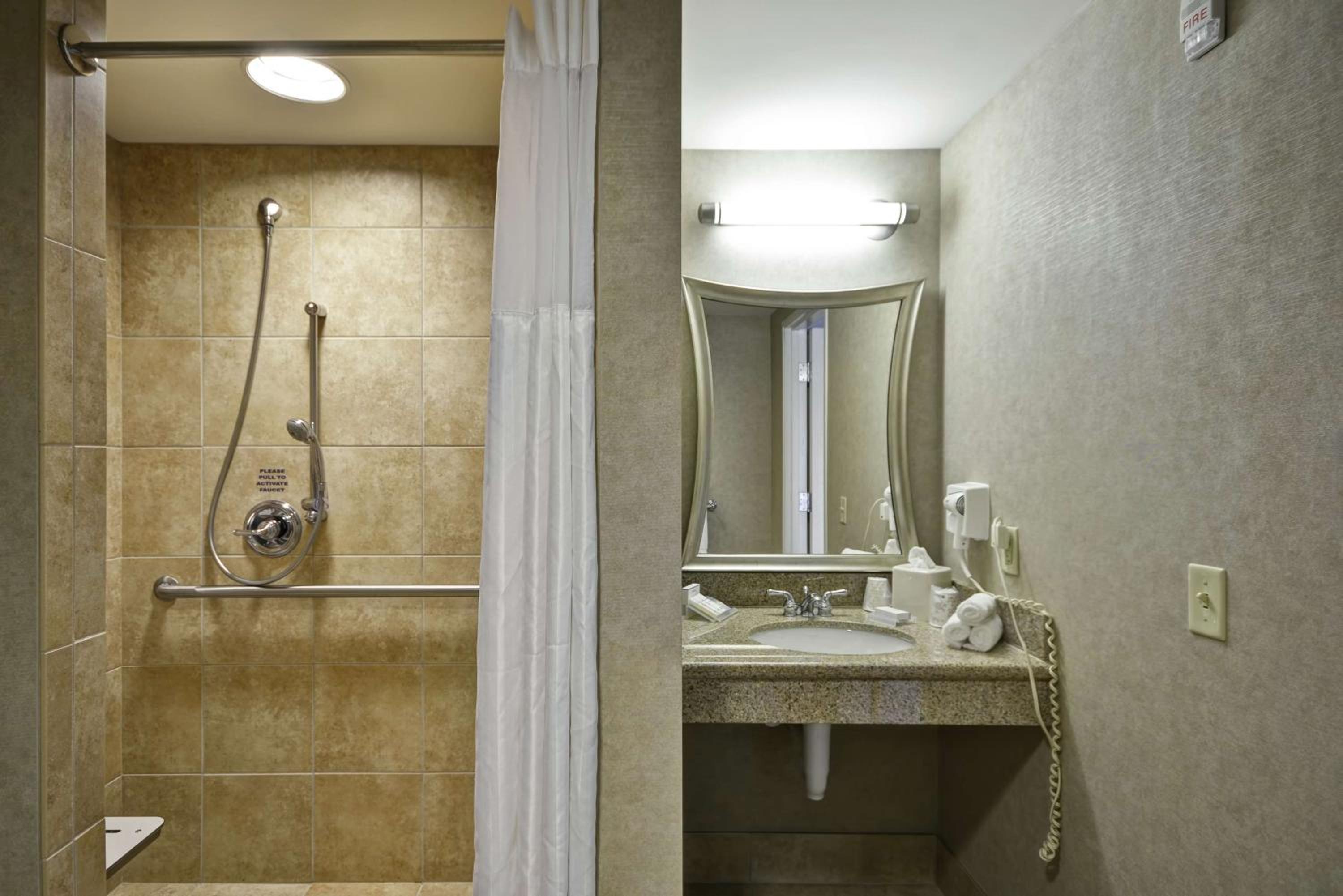 King Room with Roll-In Shower - Mobility Access - Photo 2