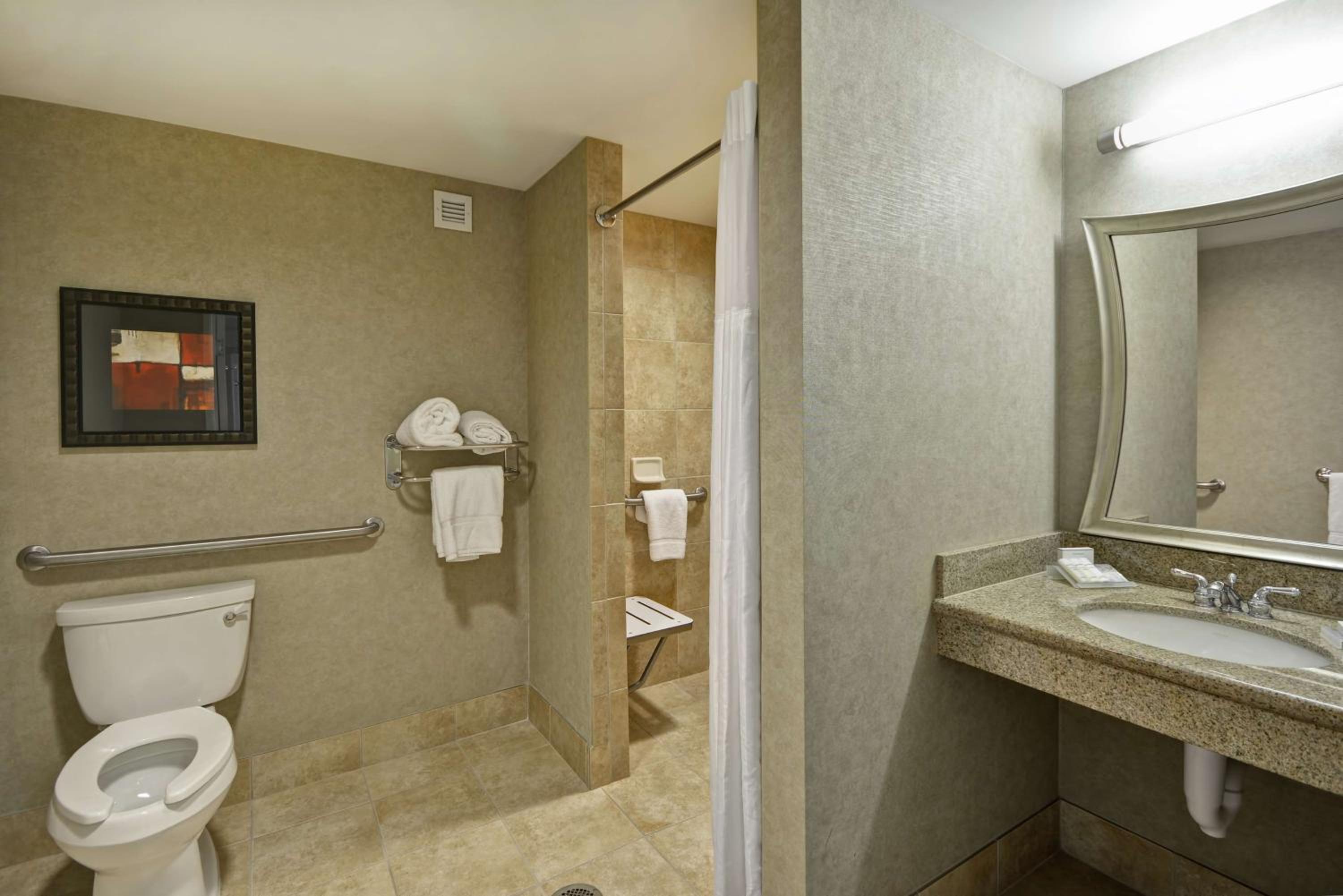 King Room with Roll-In Shower - Mobility Access - Photo 3