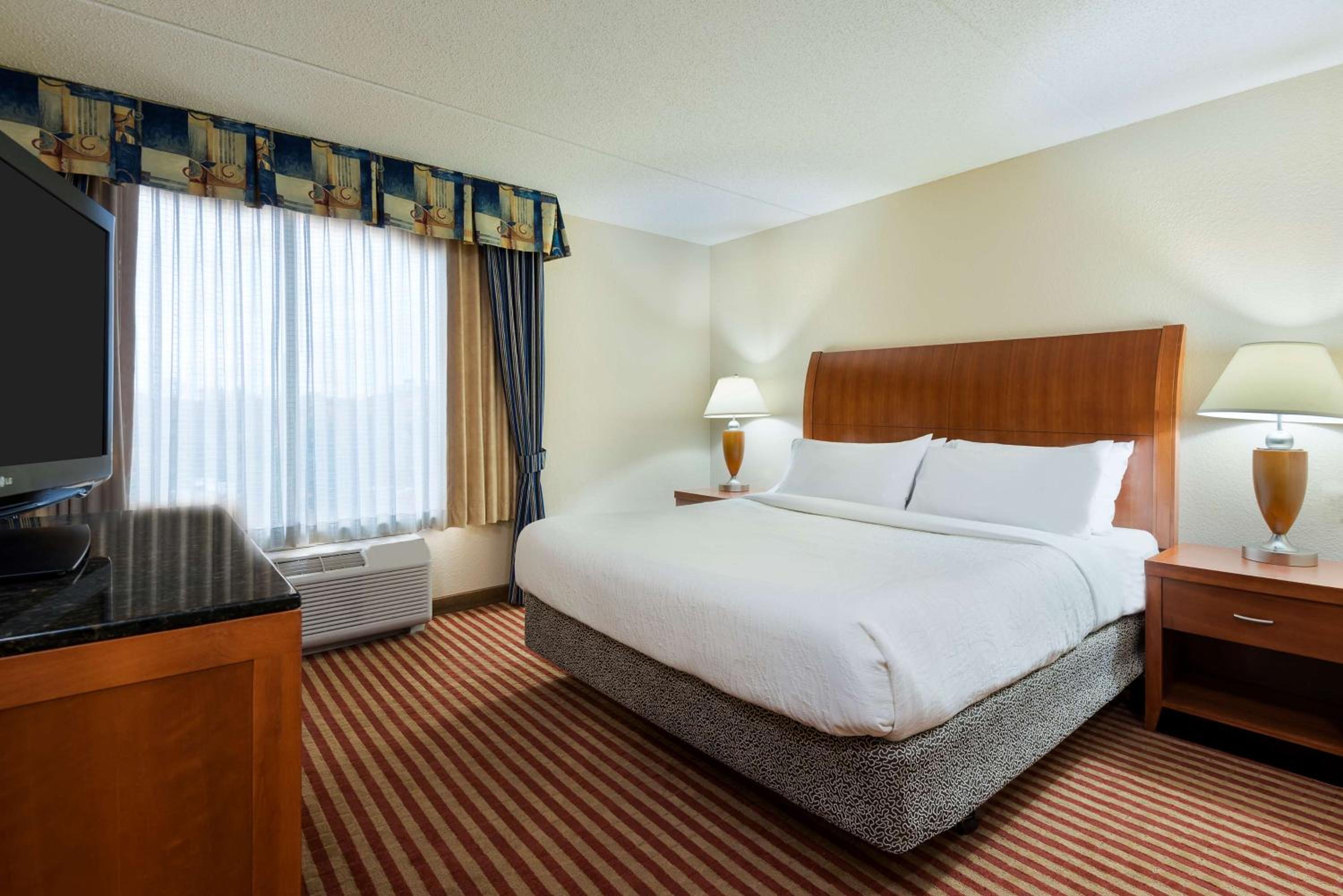 One-Bedroom Executive King Suite with Sofa Bed - Photo 1