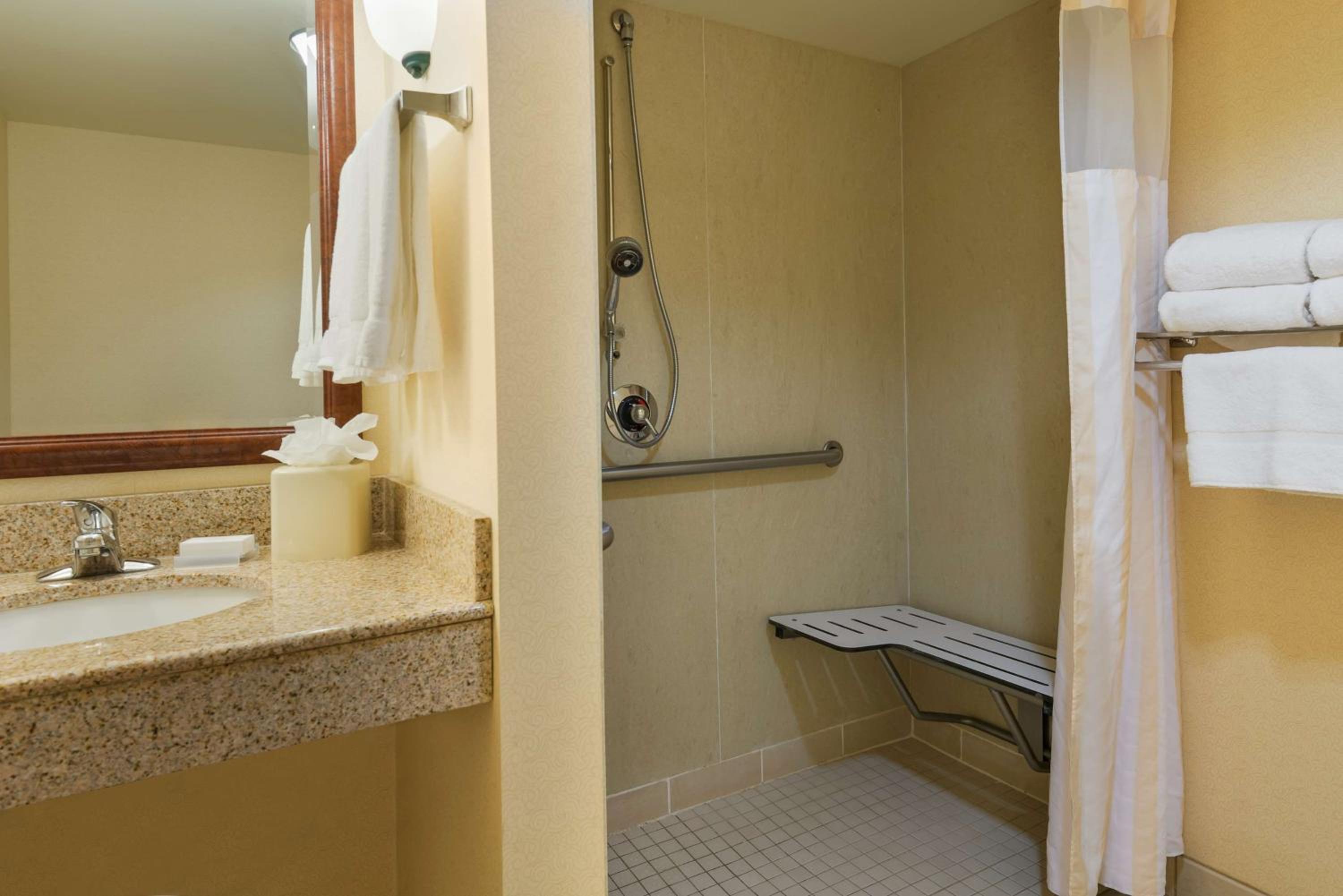 King Room with Roll-In Shower - Mobility/Hearing Accessible - Photo 3