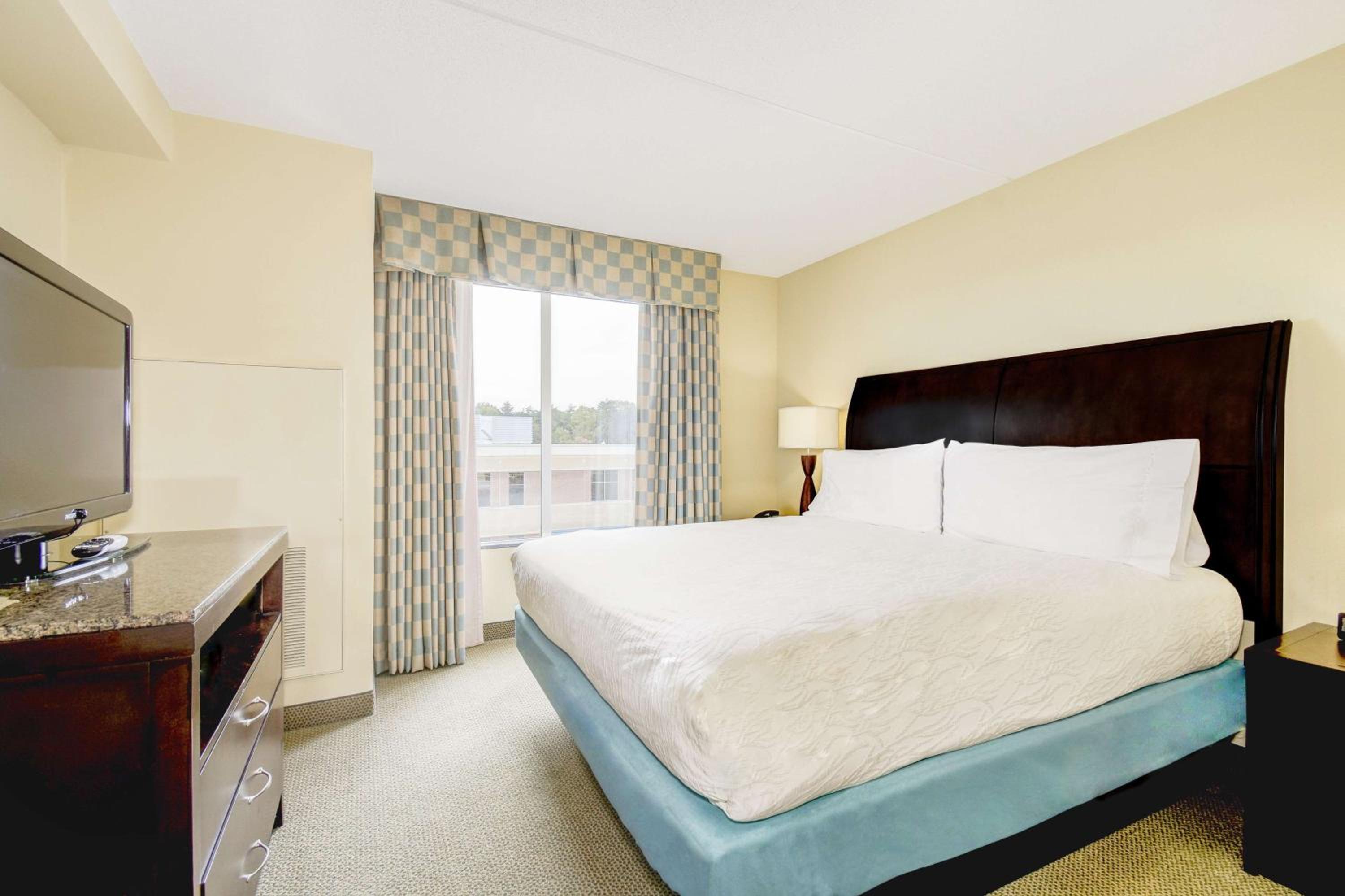 One-Bedroom King Suite - Photo 2